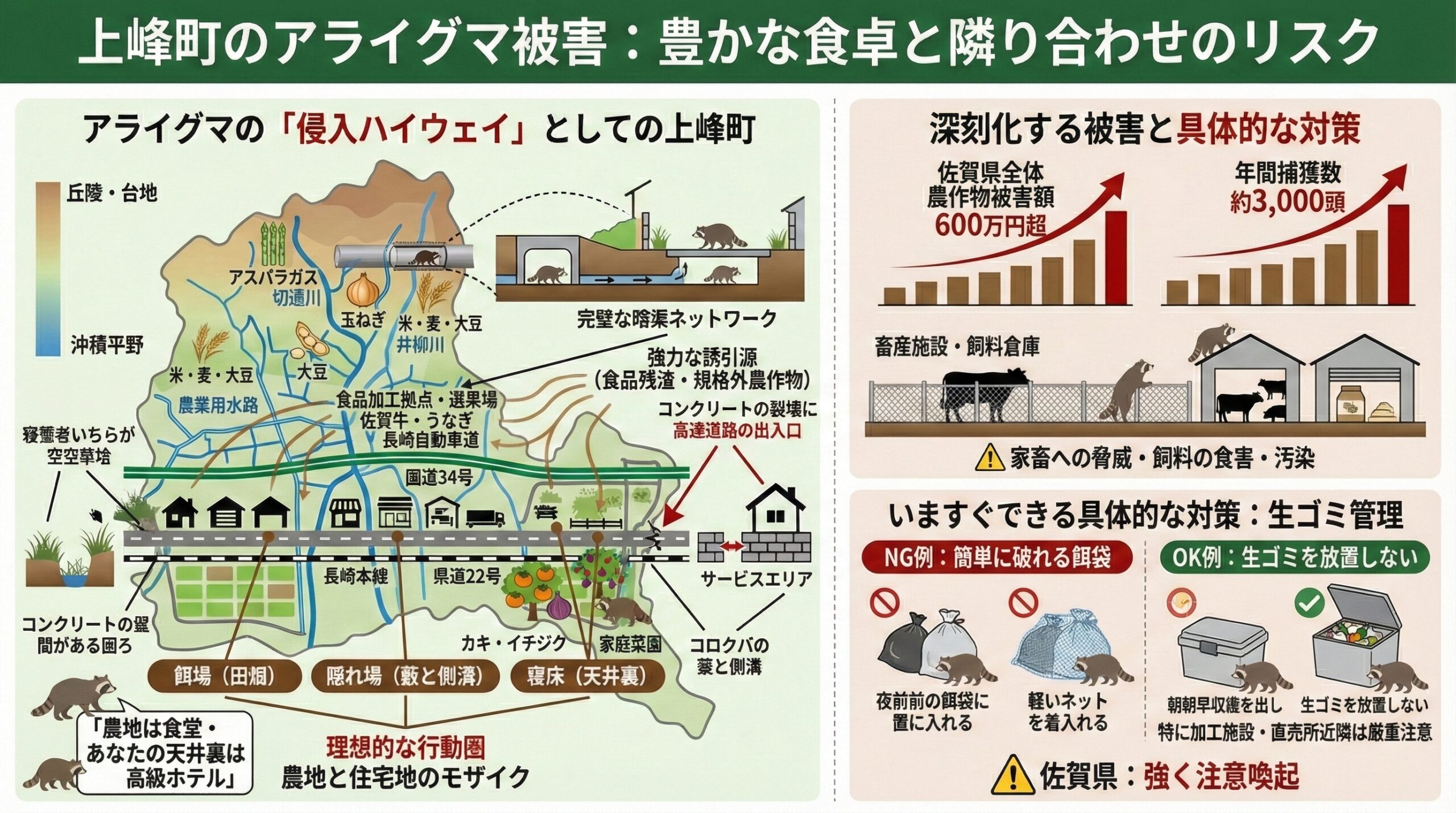 上峰町のアライグマ被害について豊かな食卓と隣り合わせのリスクをインフォグラフィックで説明した図解。