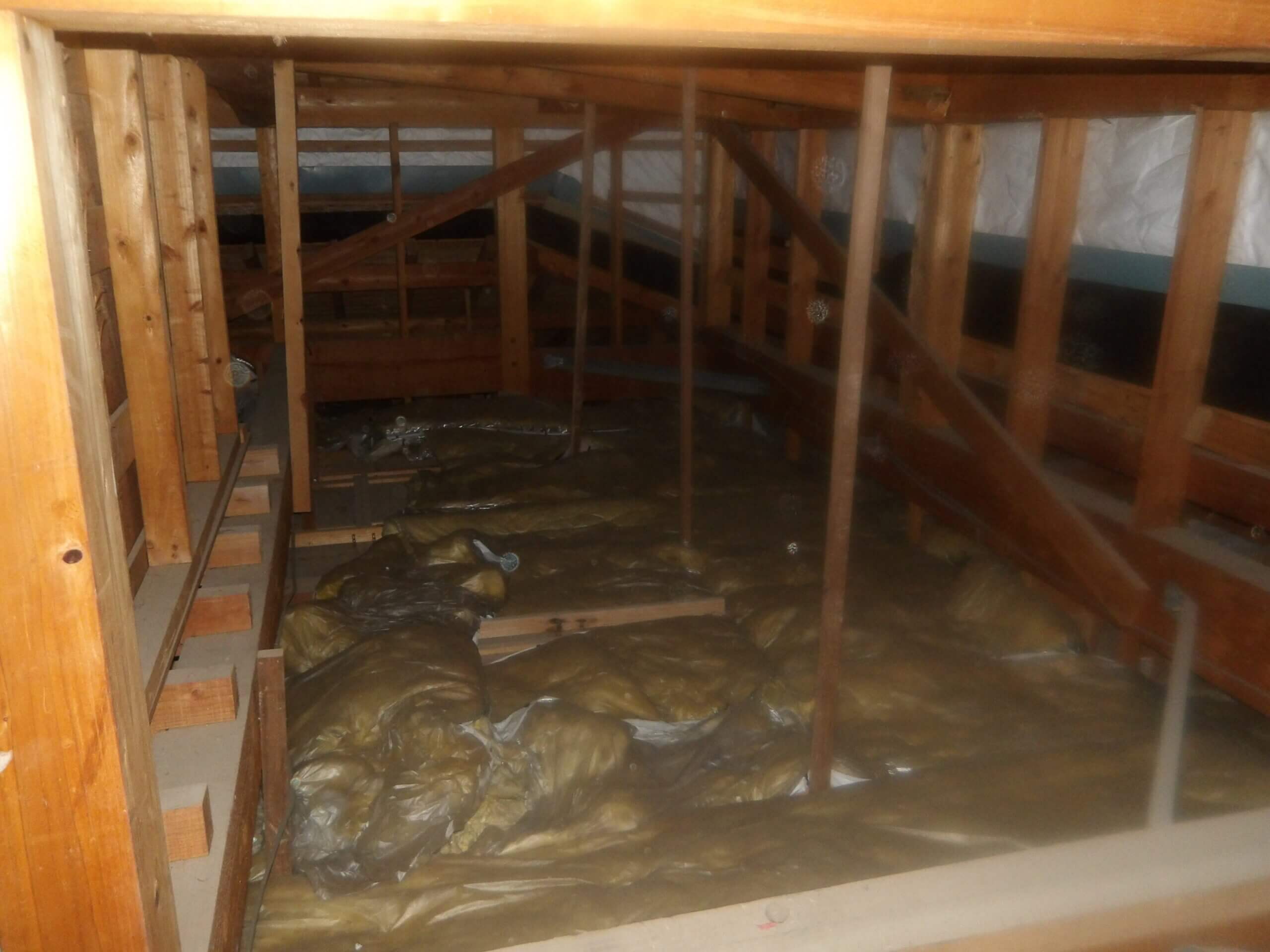 糞尿で汚れた断熱材