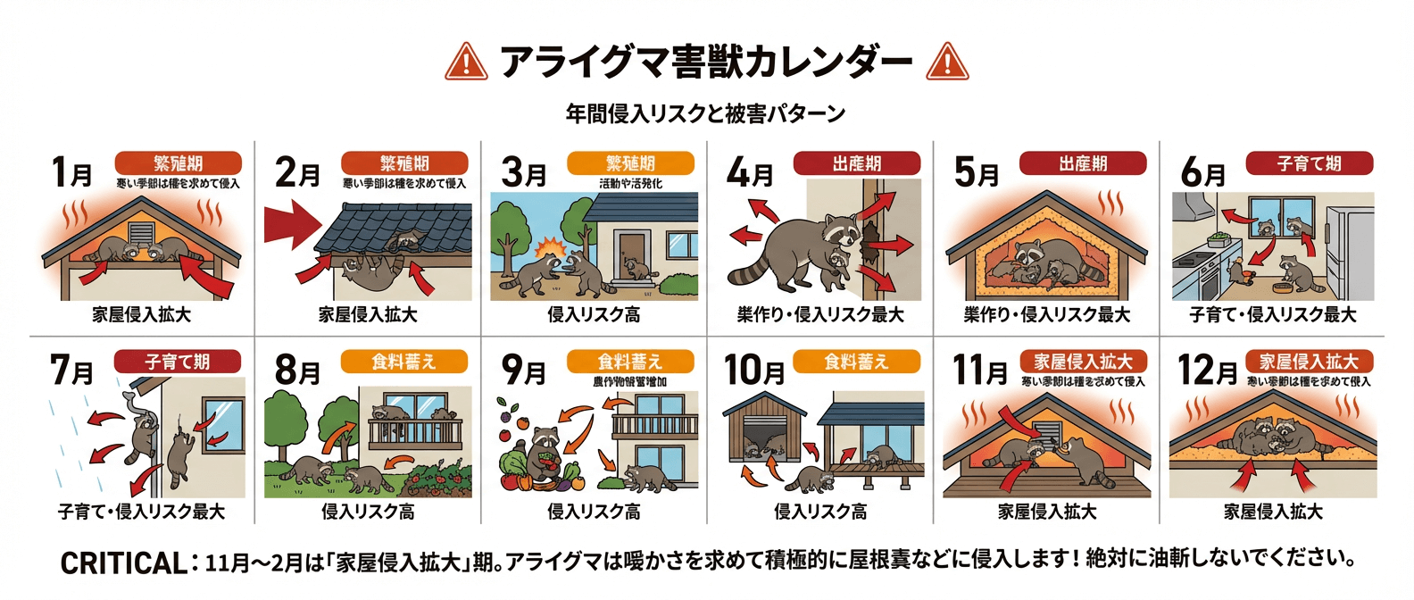 アライグマの年間行動・被害カレンダー｜11月〜2月は寒さ対策で屋根裏侵入が急増する「家屋侵入拡大」期。4月〜7月は出産・子育て期で侵入リスクが最大化。季節ごとの習性と対策時期を解説