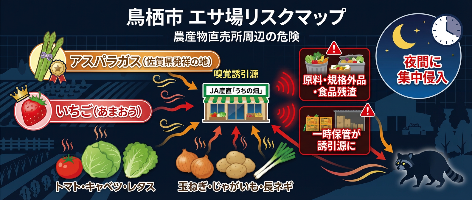 鳥栖市のエサ場リスクマップ｜佐賀県発祥のアスパラガスやいちご（あまおう）等の特産品、JA産直「うちの畑」周辺の食品残渣がアライグマを誘引。夜間の集中侵入リスクと一時保管の危険性を解説