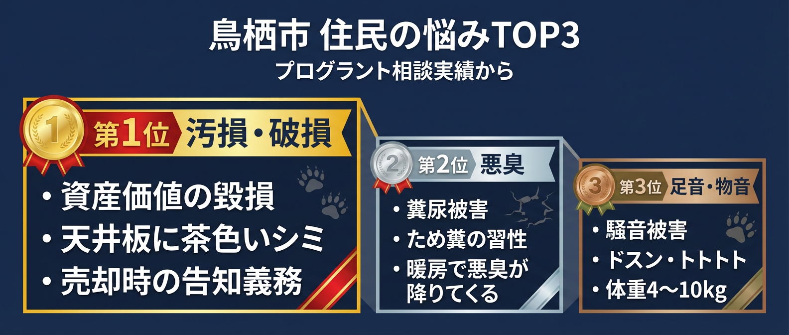 鳥栖市のアライグマ被害悩みランキングTOP3｜1位：資産価値を毀損する「汚損・破損（天井のシミ・売却時の告知義務）」、2位：暖房で拡散する「強烈な悪臭（ため糞）」、3位：4〜10kgの巨体による「騒音（ドスン・トトトト）」