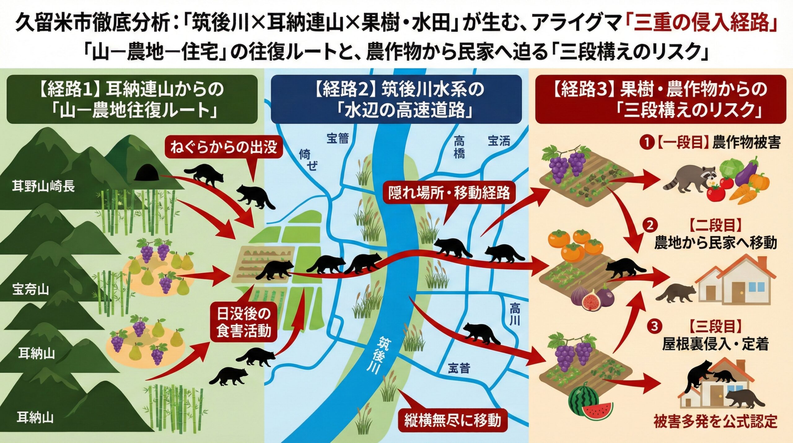 久留米市徹底分析。筑後川、耳納連山、果樹・水田が生む、アライグマ三重の侵入経路。山ー農地ー住宅の往復ルートと農作物から民家へ迫る三段構えのリスク。
