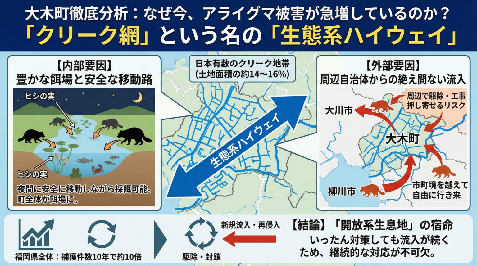 大木町徹底分析。なぜ今アライグマが急増しているのか?クリーク網という名の生態系ハイウェイ。