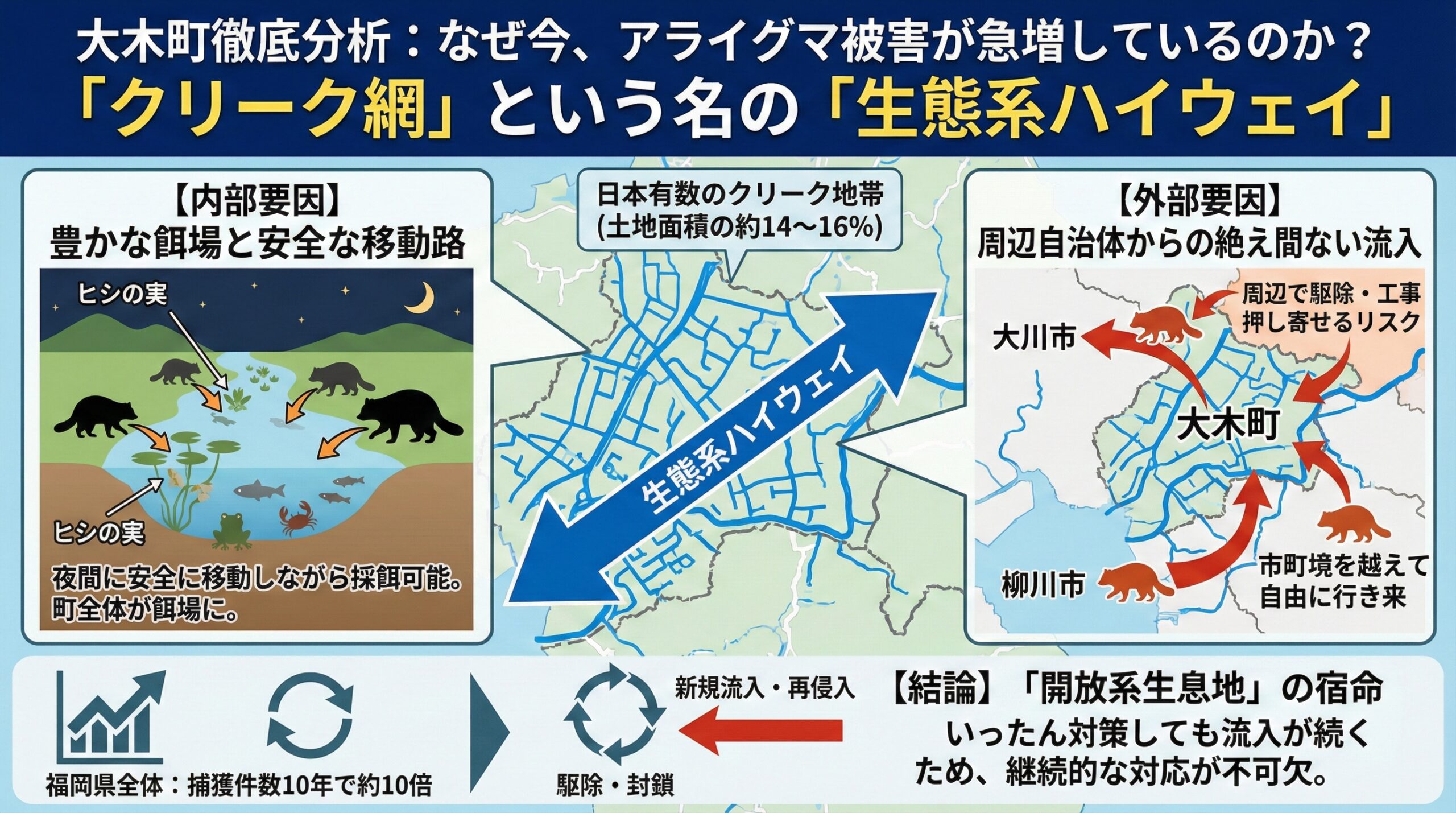 大木町徹底分析。なぜ今アライグマが急増しているのか?クリーク網という名の生態系ハイウェイ。