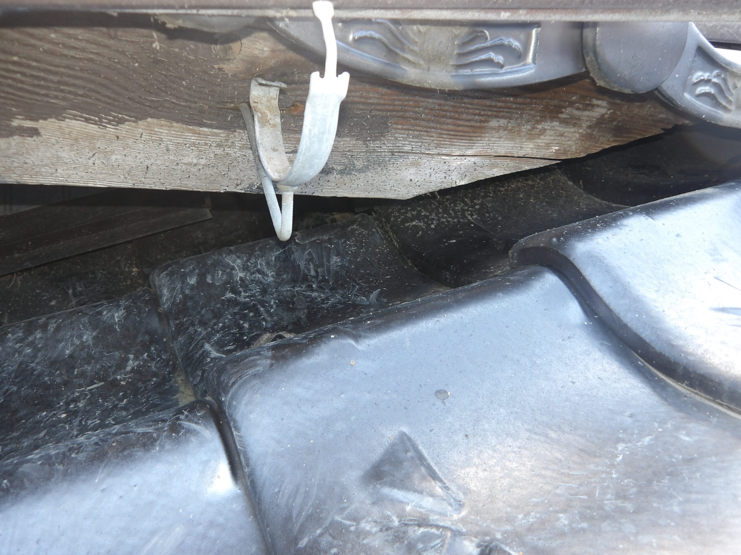 侵入口となっていた屋根の隙間