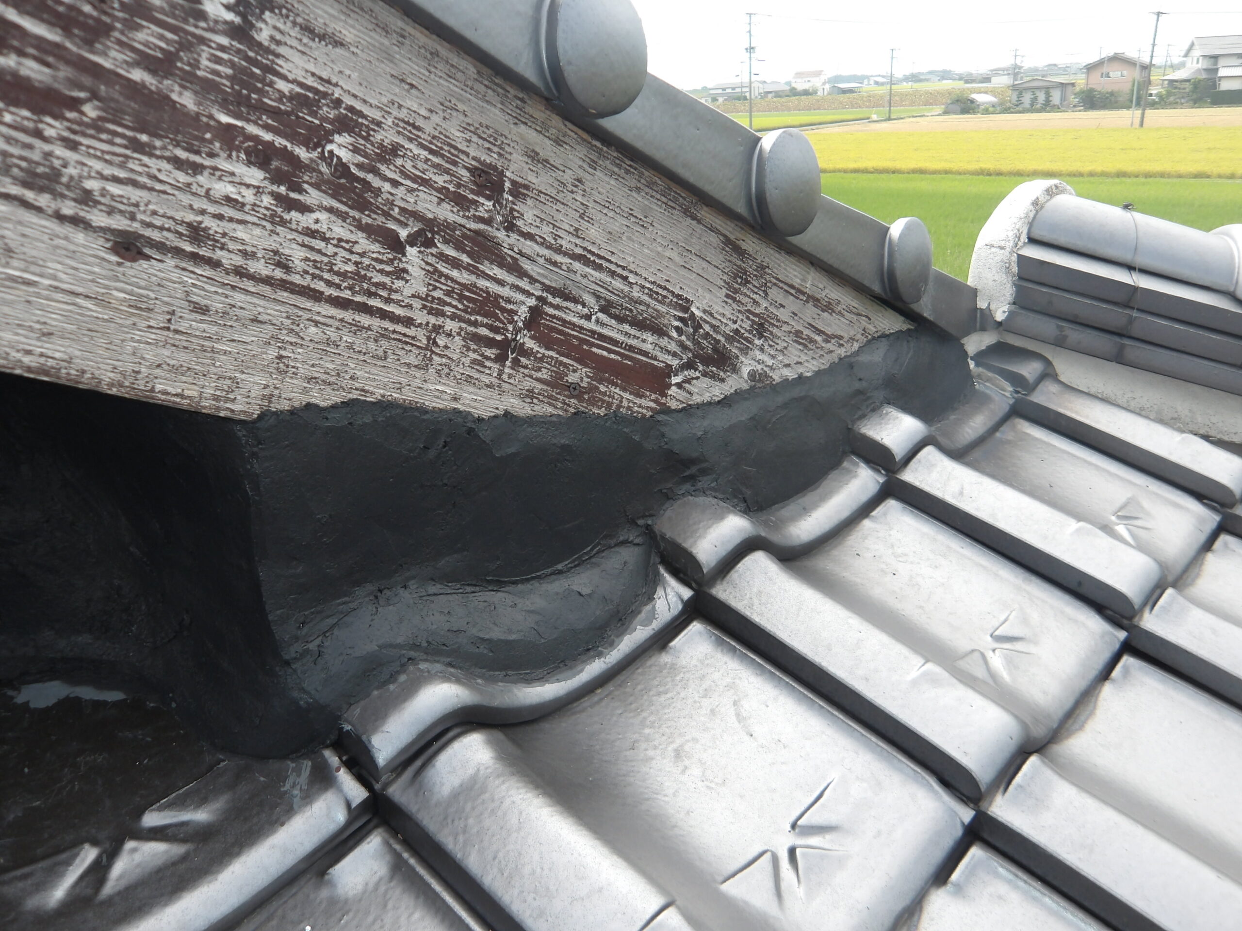 施工後見違えるほどきれいに封鎖された侵入口の隙間