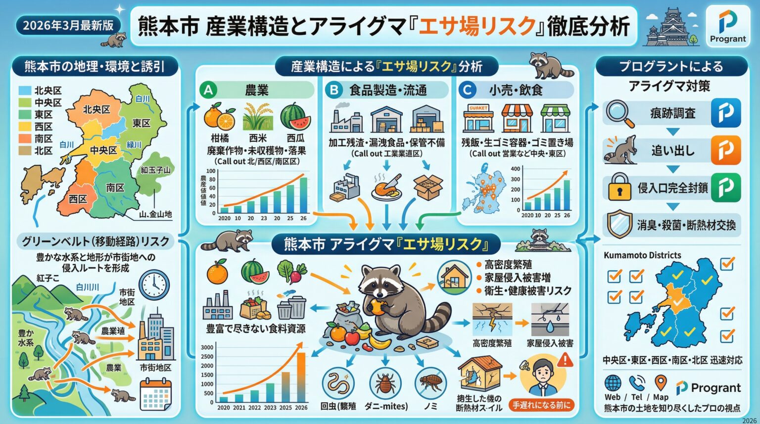熊本市のアライグマ駆除｜市内で急増する被害の実態と地域密着の駆除対応