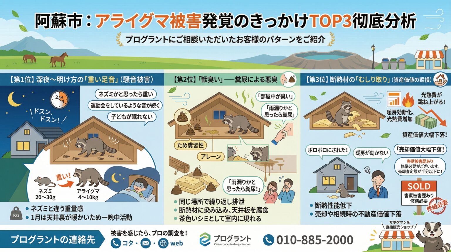 阿蘇市アライグマ被害発覚のきっかけトップ3