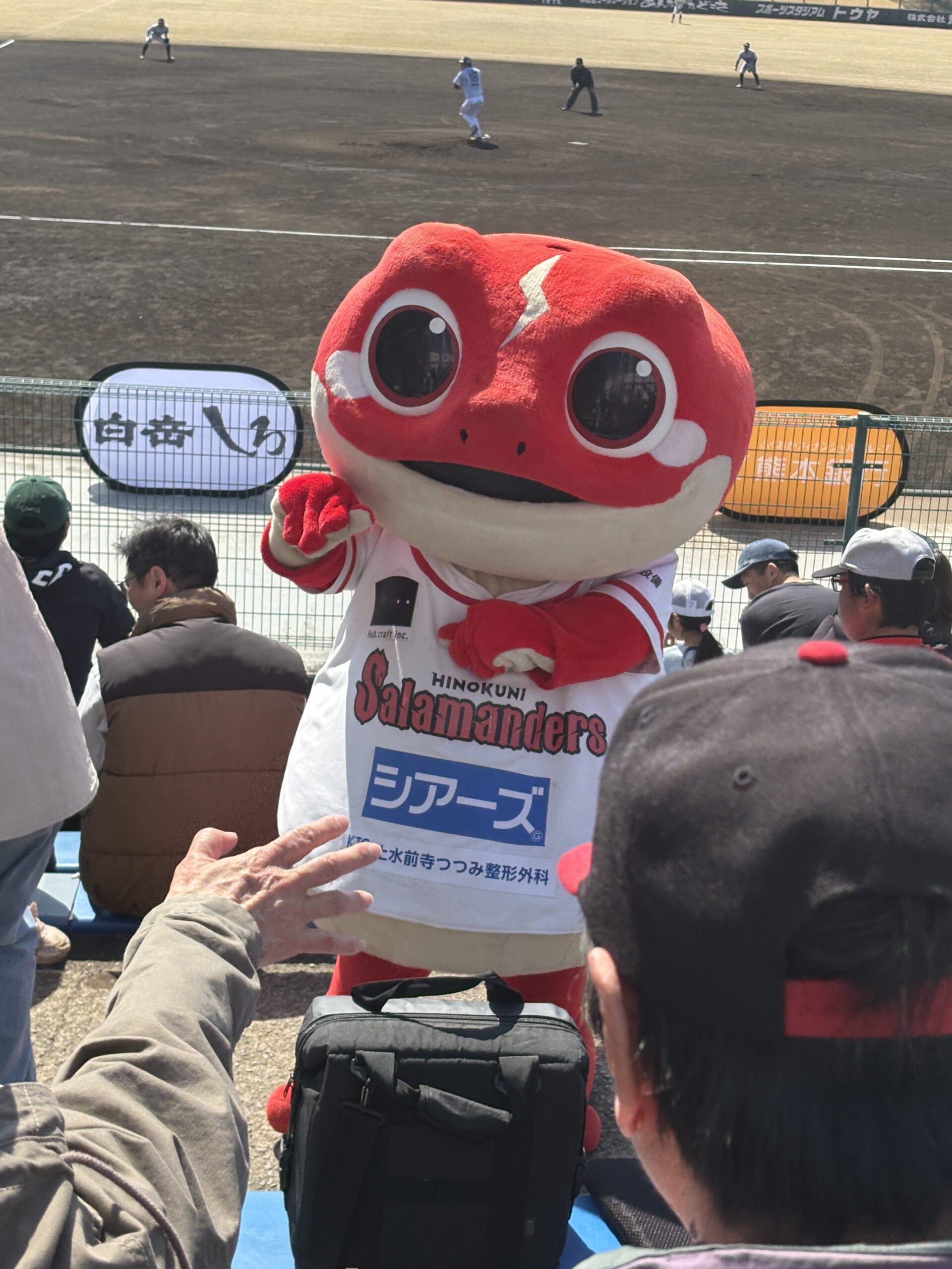 火の国サラマンダーズのマスコットキャラクターさら丸