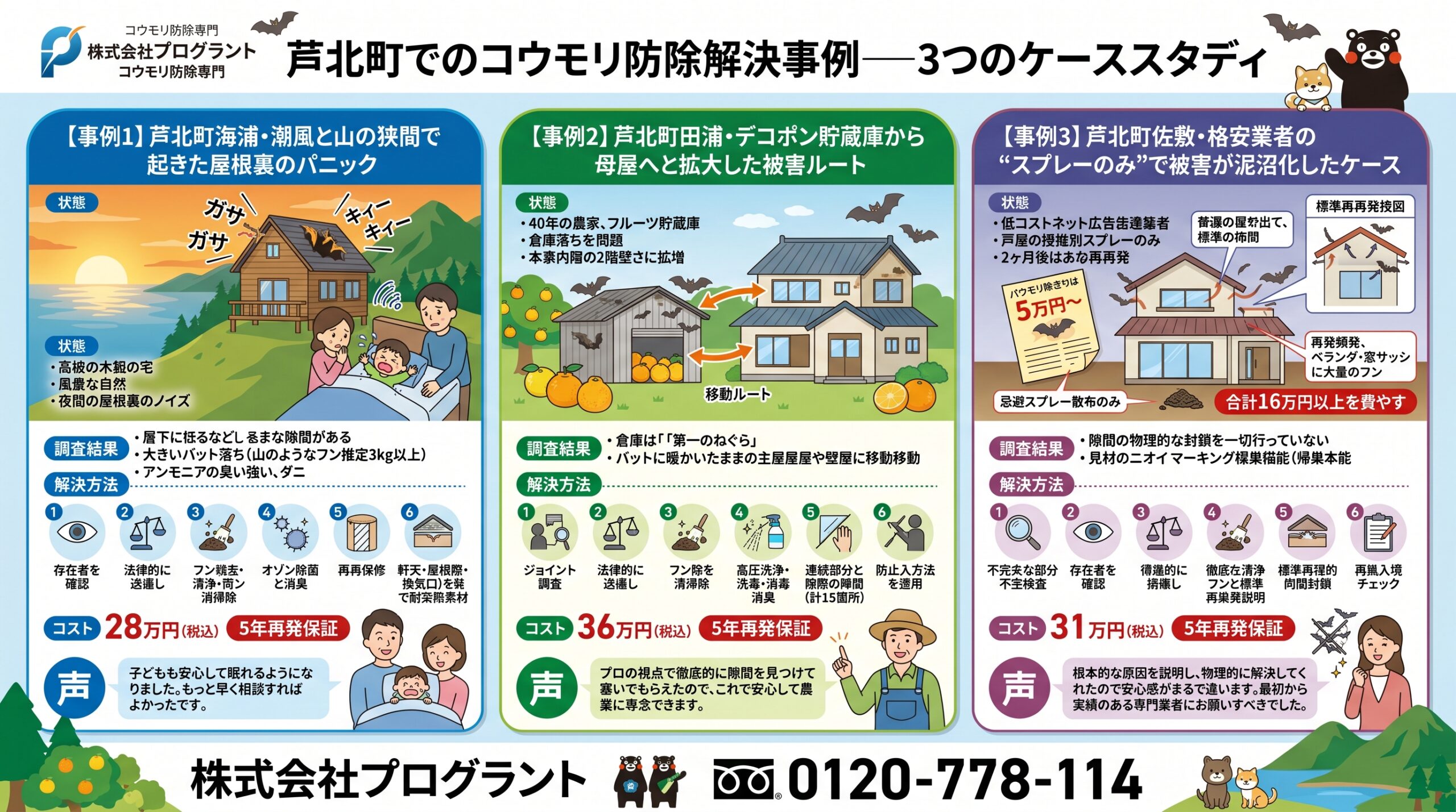 芦北町でのコウモリ防除解決事例