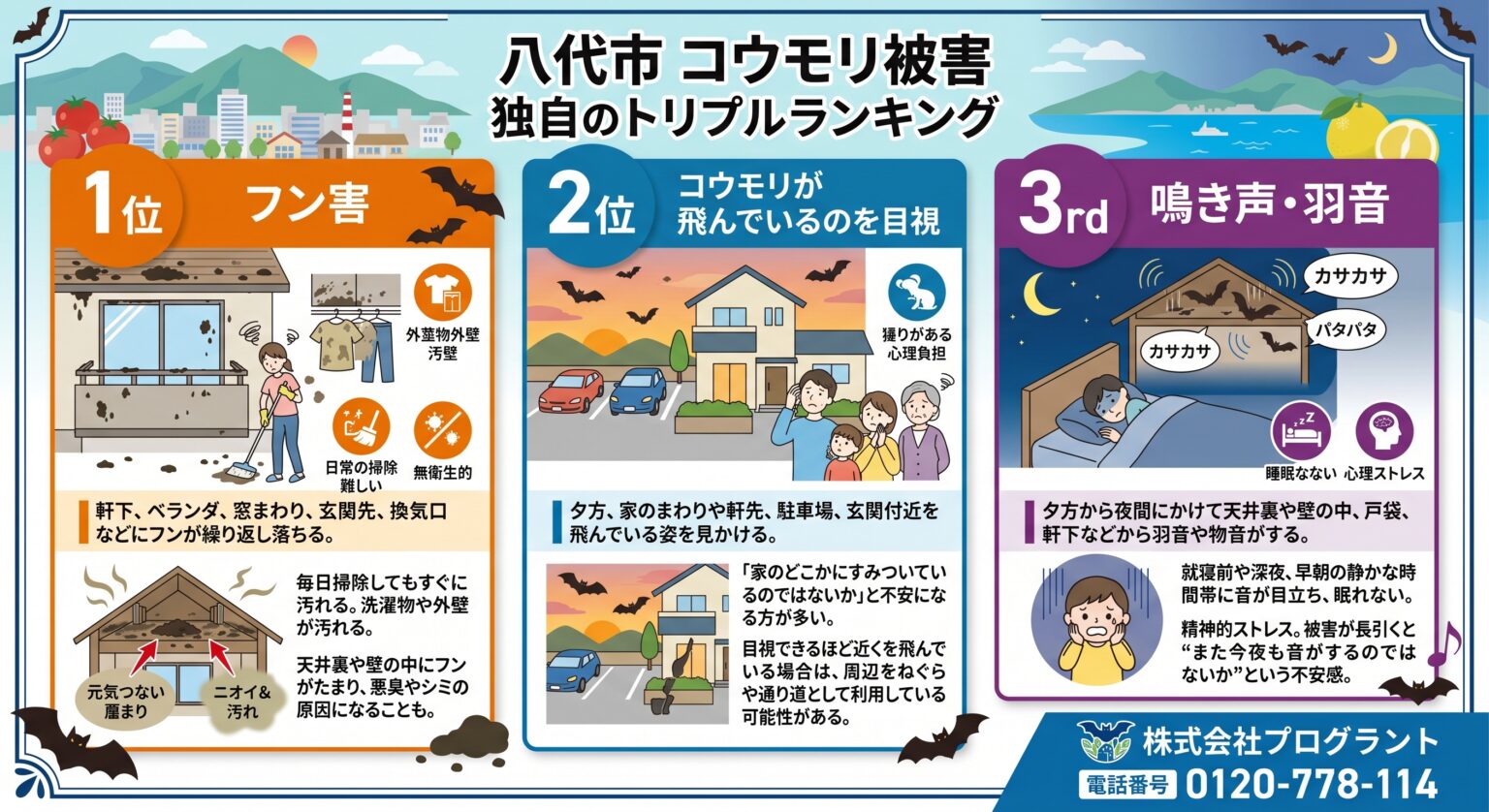 八代市コウモリ被害