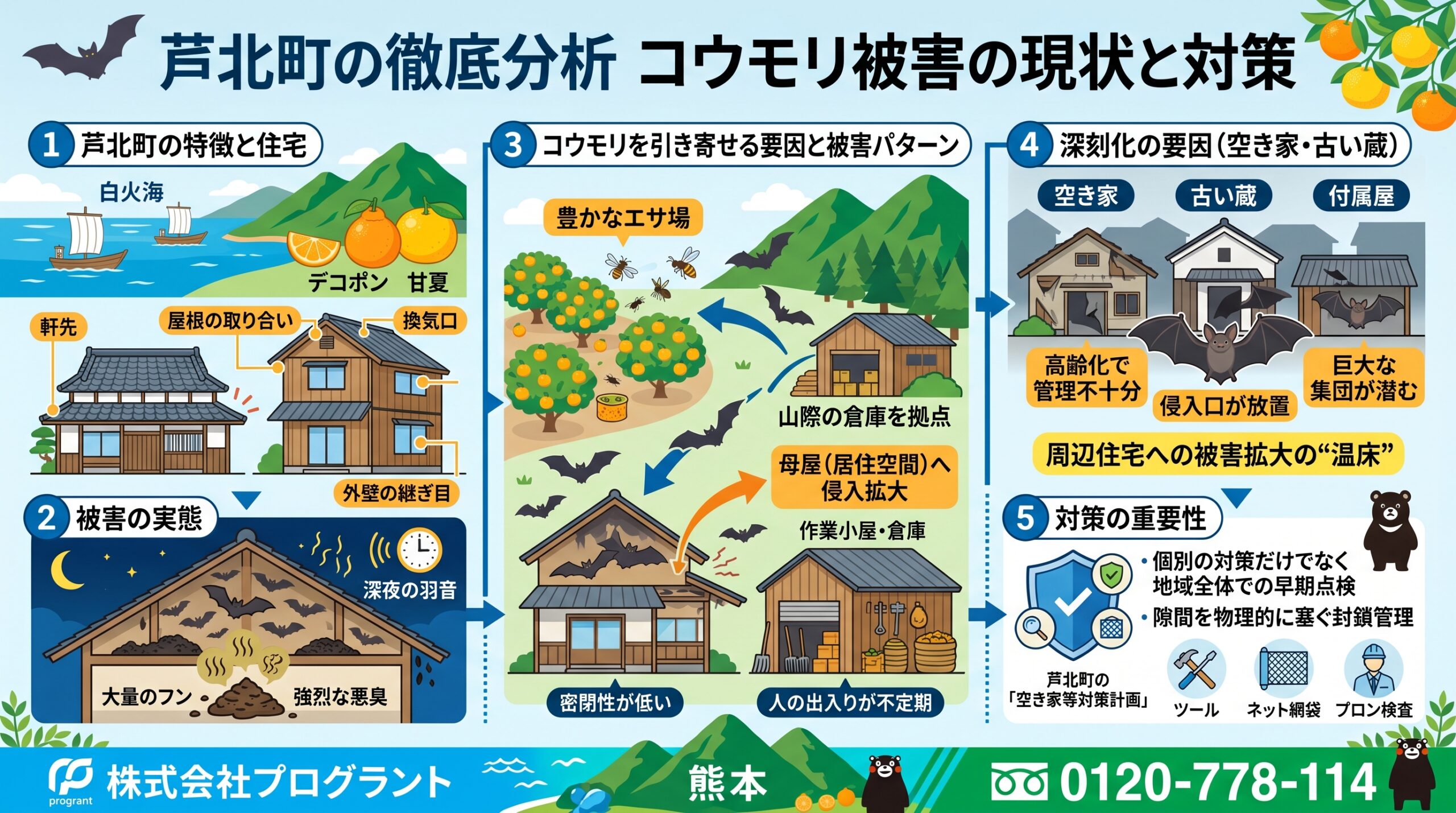 芦北町の徹底分析　コウモリ被害の現状と対策