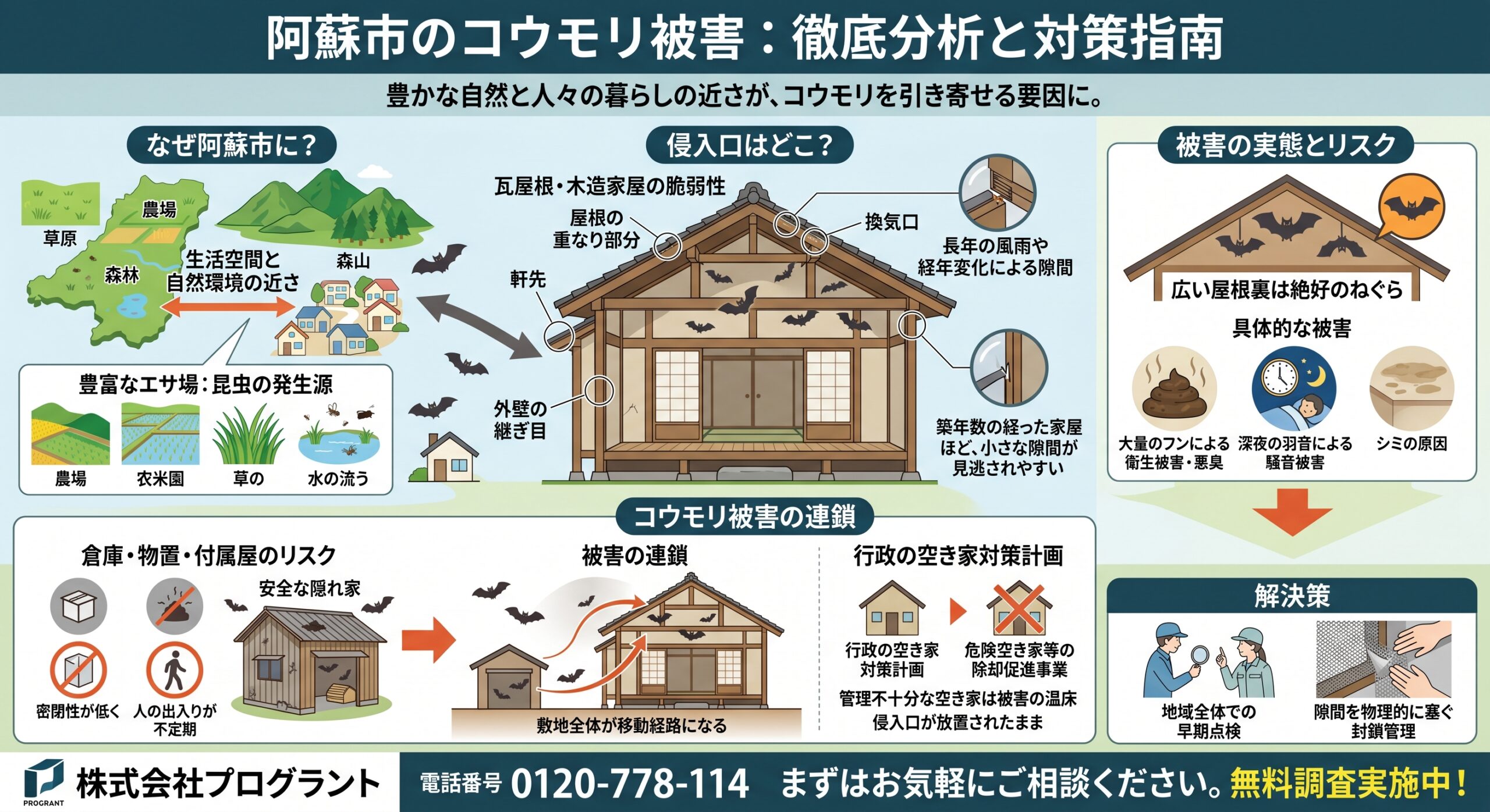 阿蘇市コウモリ被害徹底分析