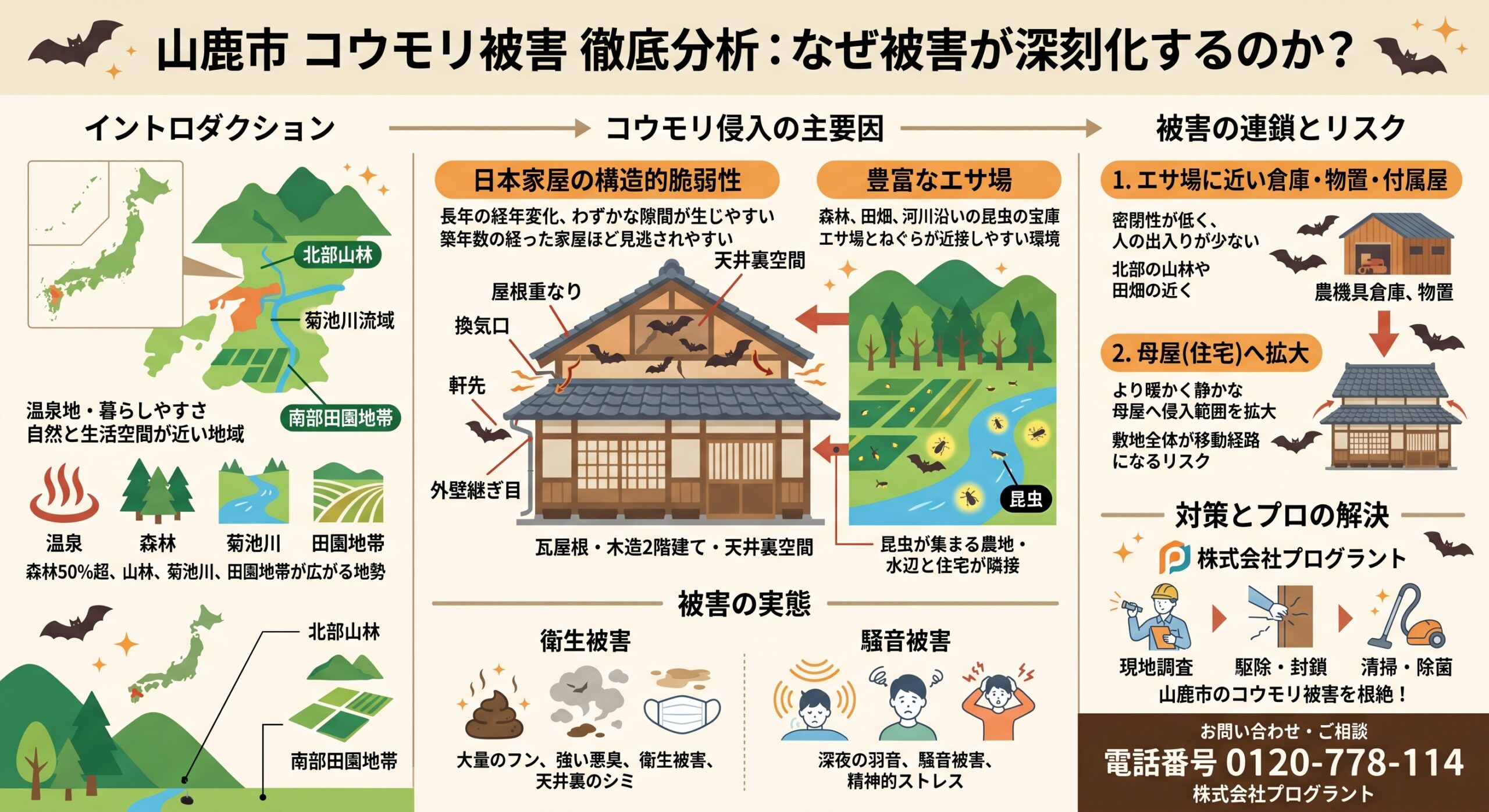 山鹿市コウモリ被害徹底分析