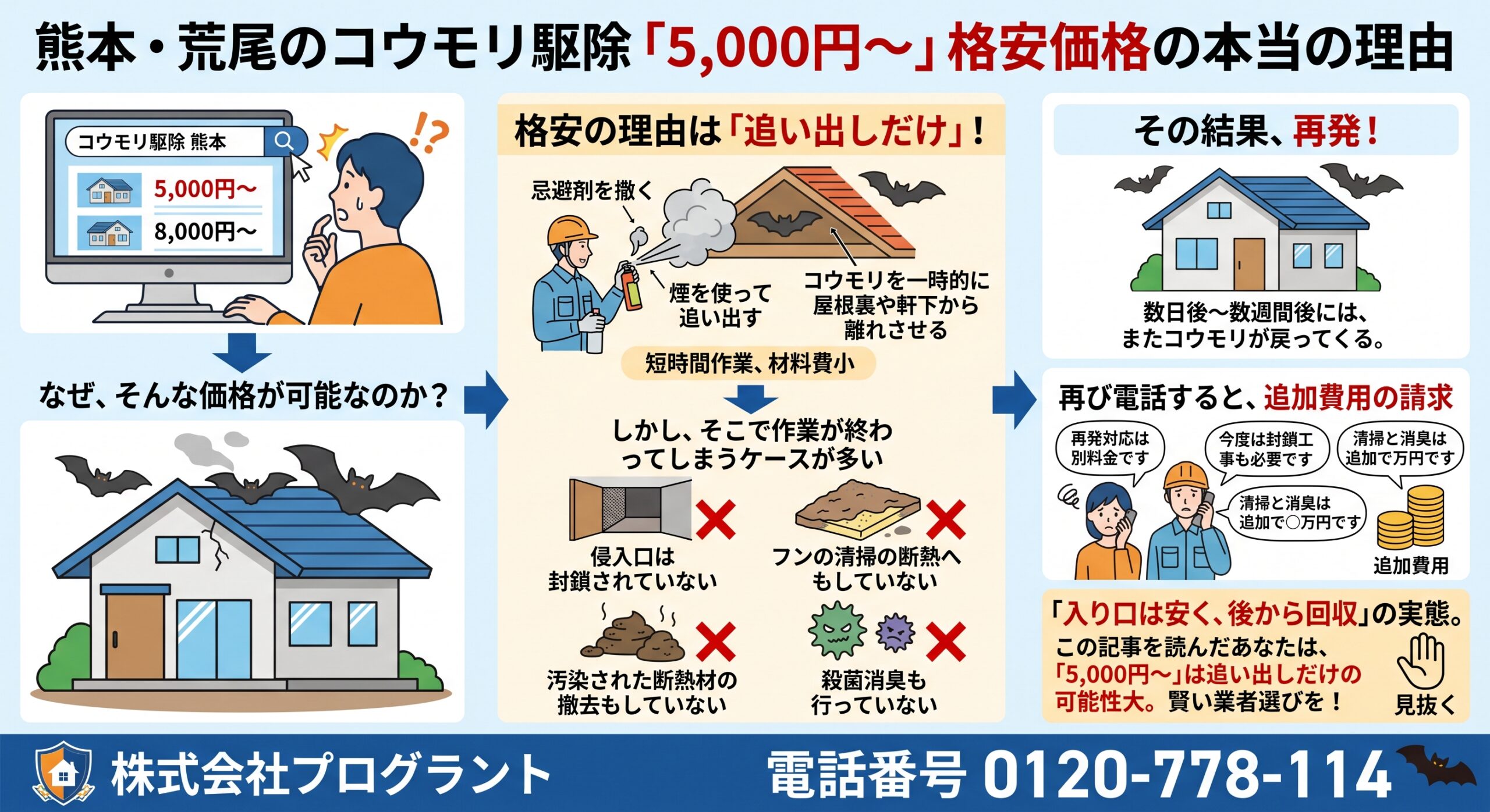 荒尾のコウモリ駆除