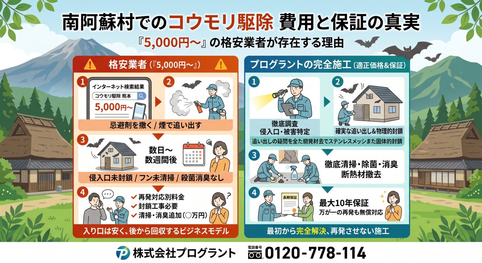 南阿蘇村でのコウモリ駆除費用と保証の真実