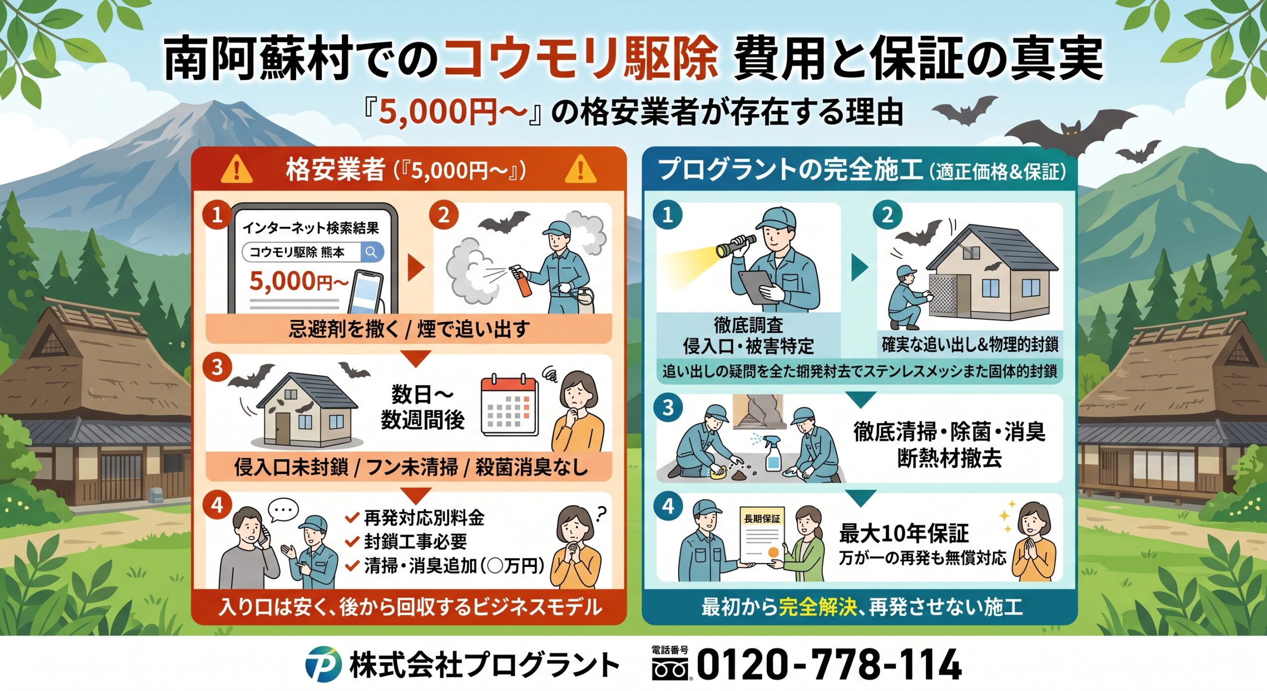 南阿蘇村でのコウモリ駆除費用と保証の真実