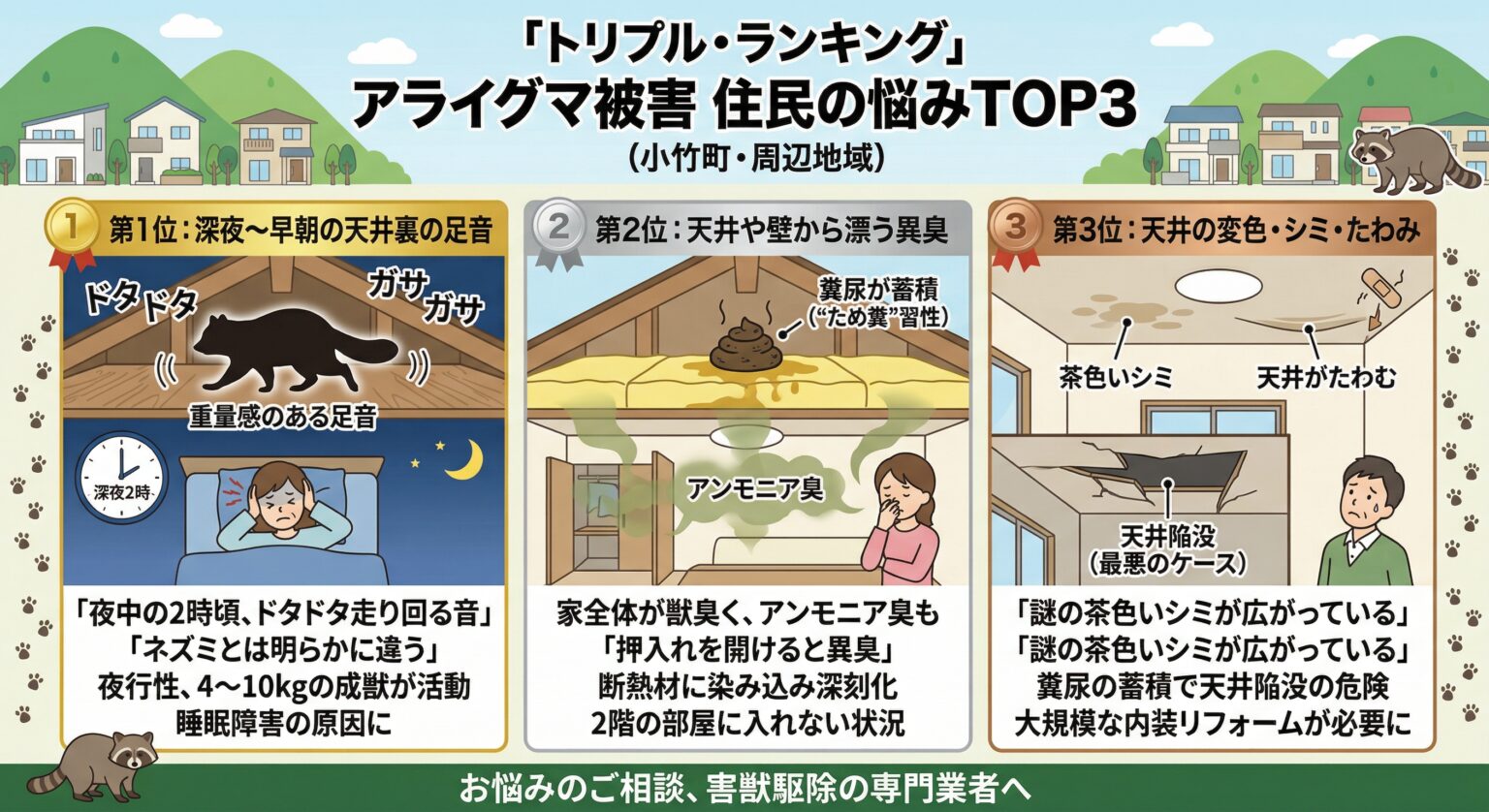 小竹町のトリプルランキング