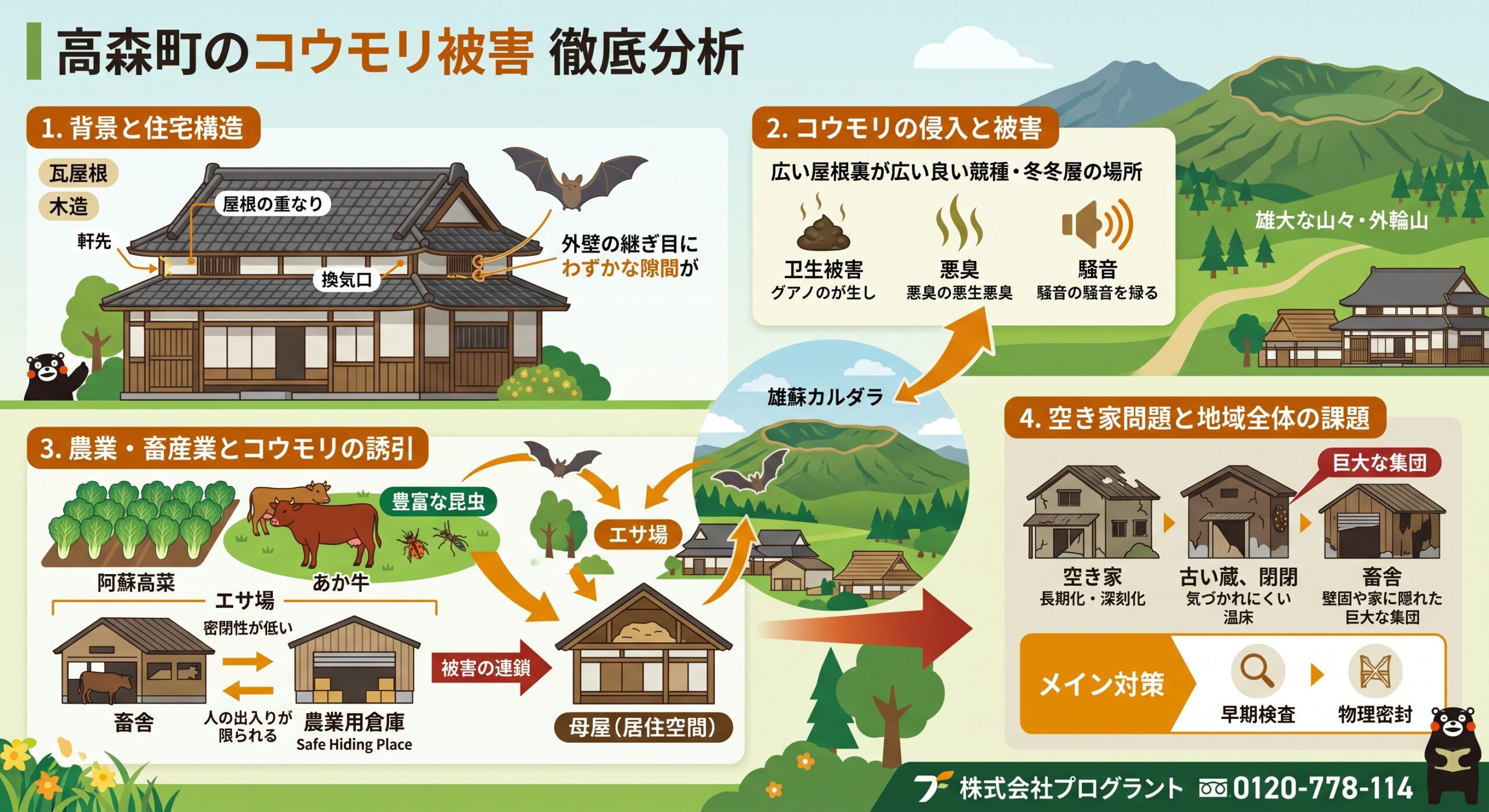 高森町のコウモリ被害徹底分析