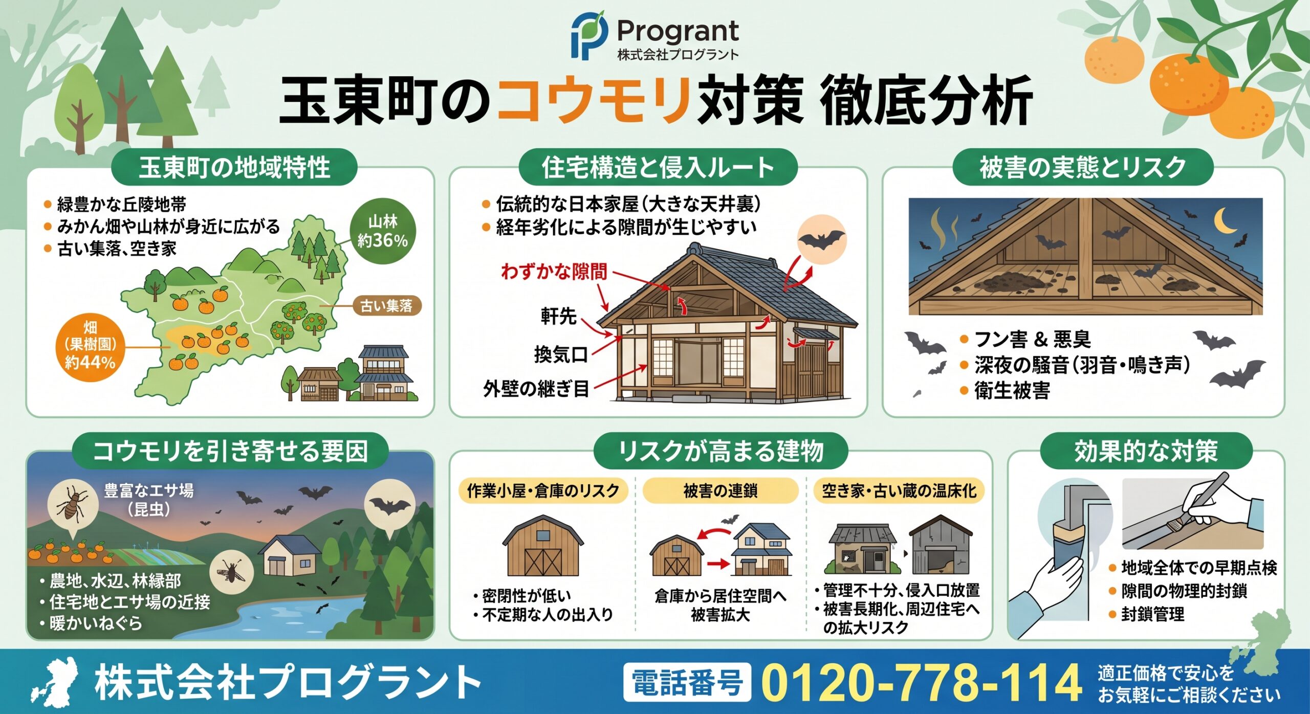 玉東町のコウモリ対策