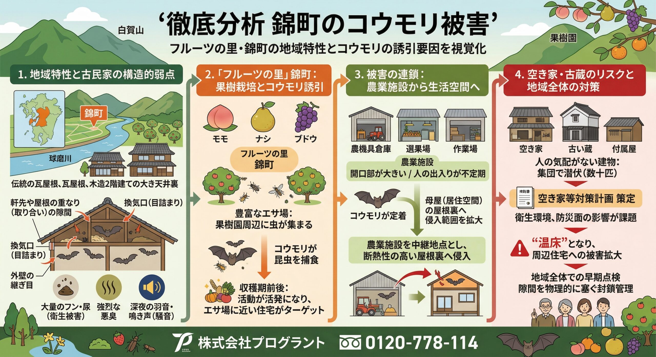 錦町のコウモリ被害徹底分析