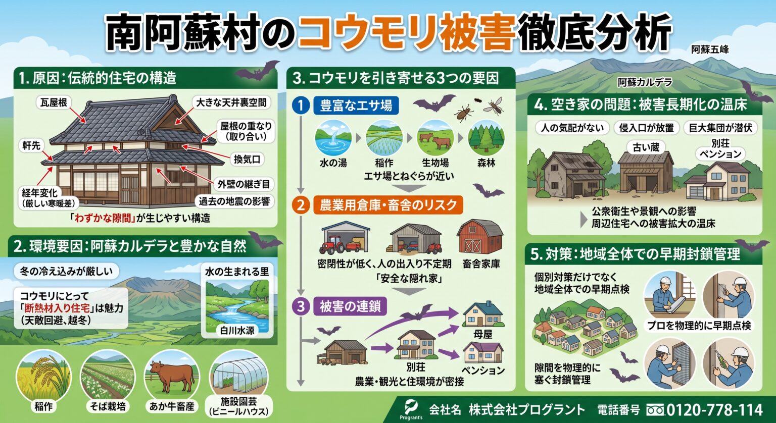 南阿蘇村のコウモリ被害徹底分析