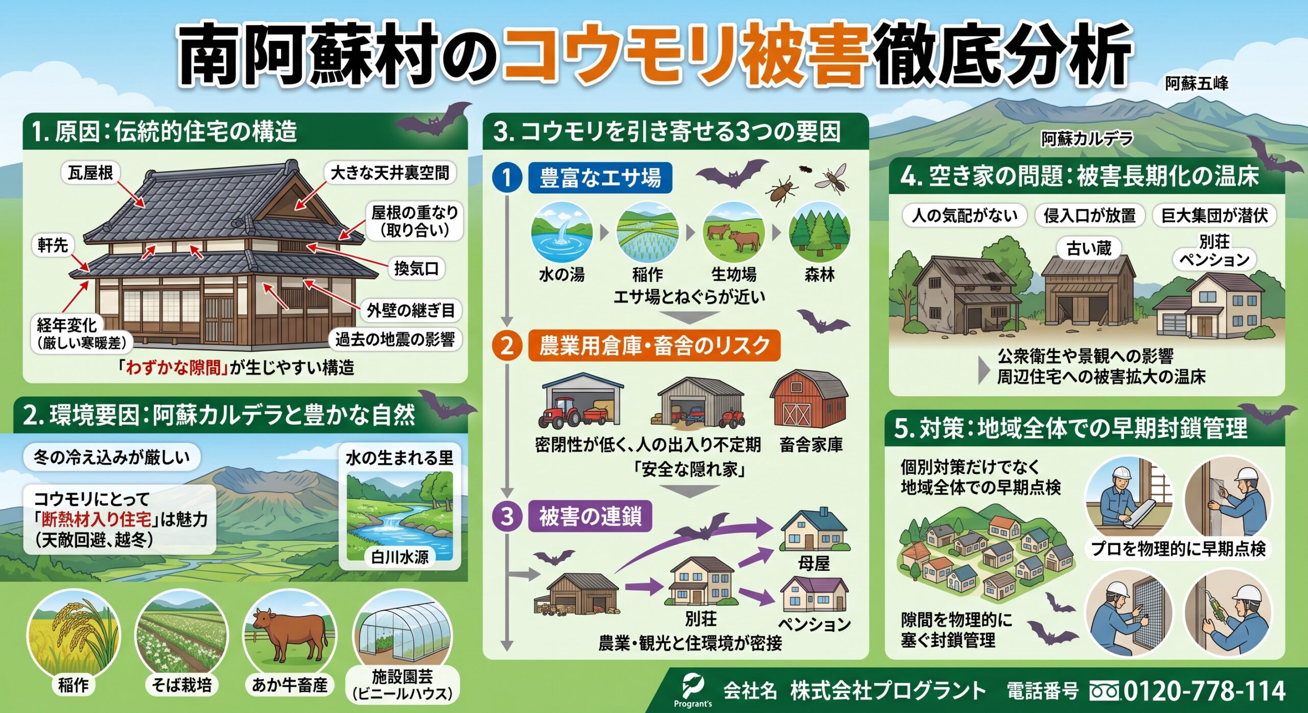 南阿蘇村のコウモリ被害徹底分析