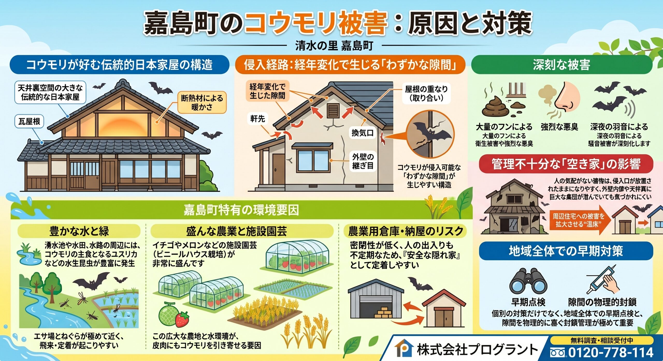 嘉島町のコウモリ被害