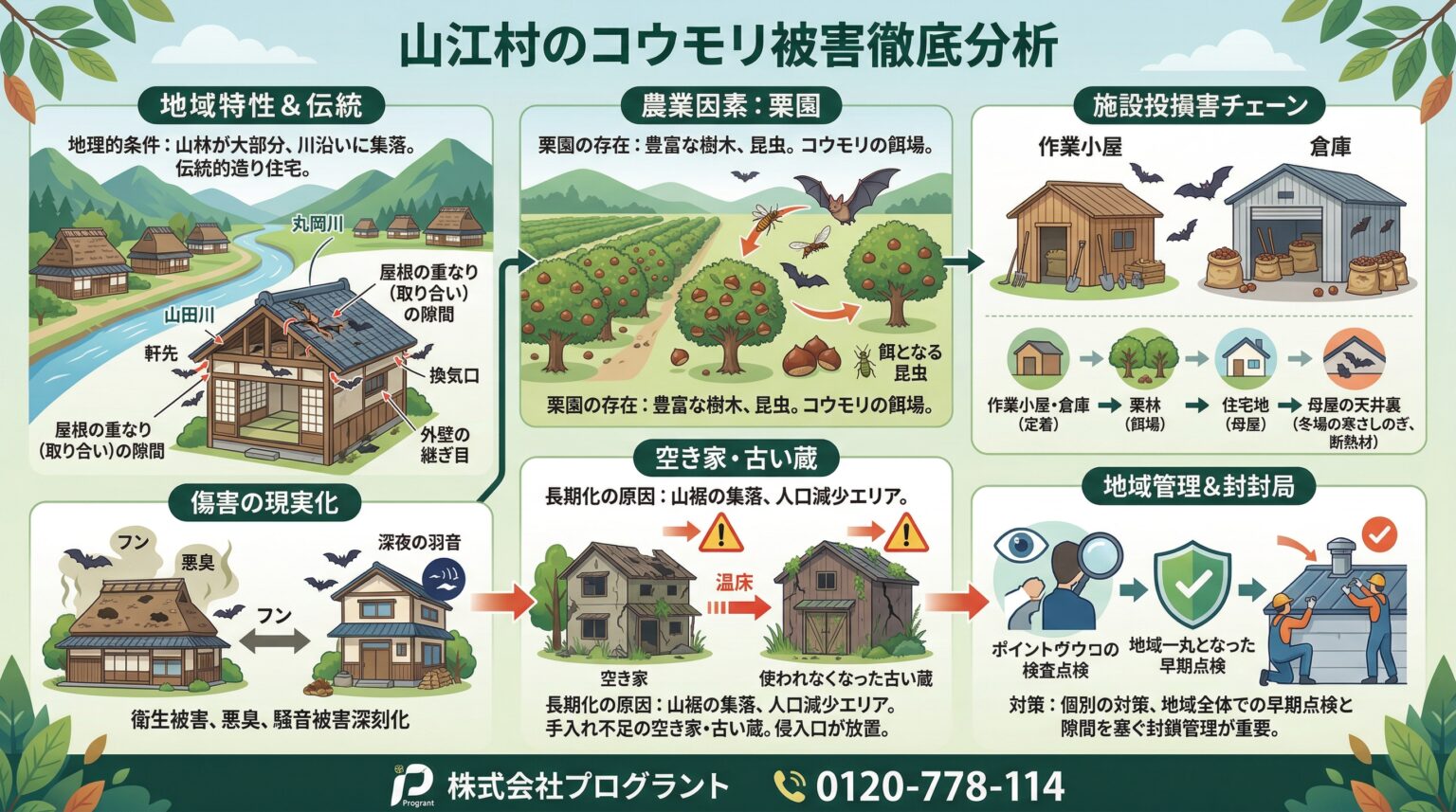 山江村のコウモリ被害徹底分析