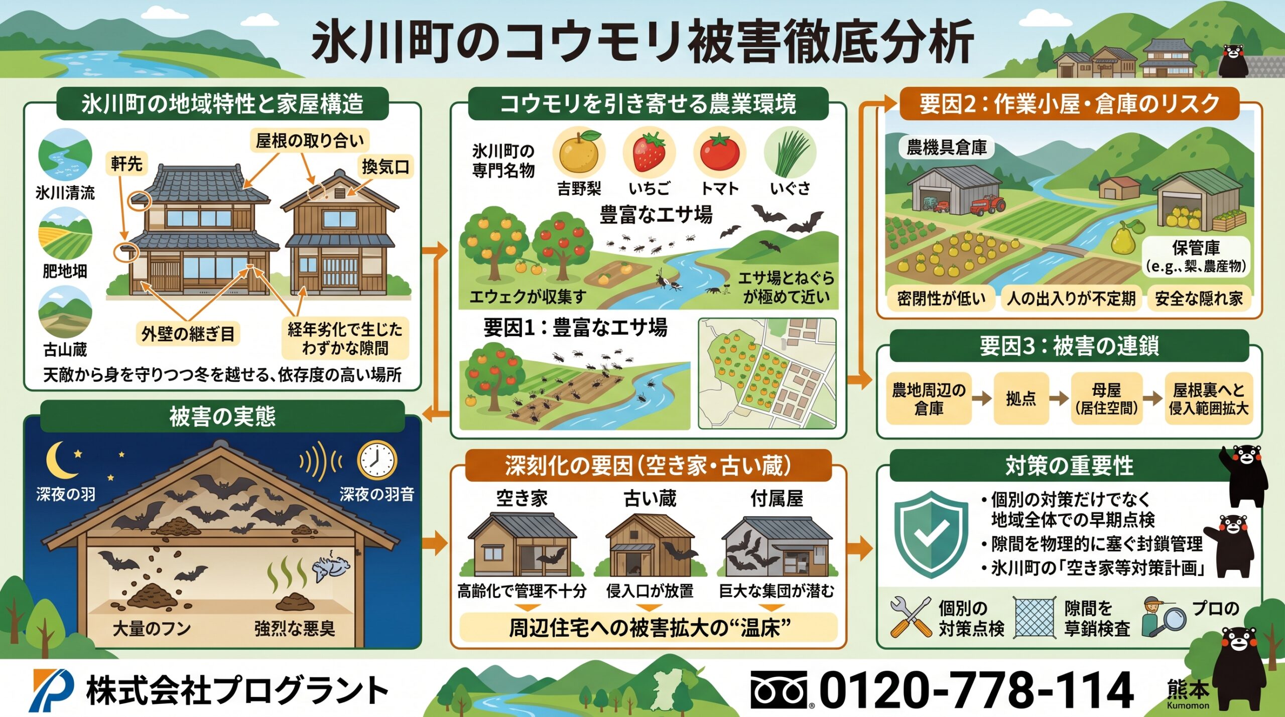 氷川町のコウモリ被害徹底分析