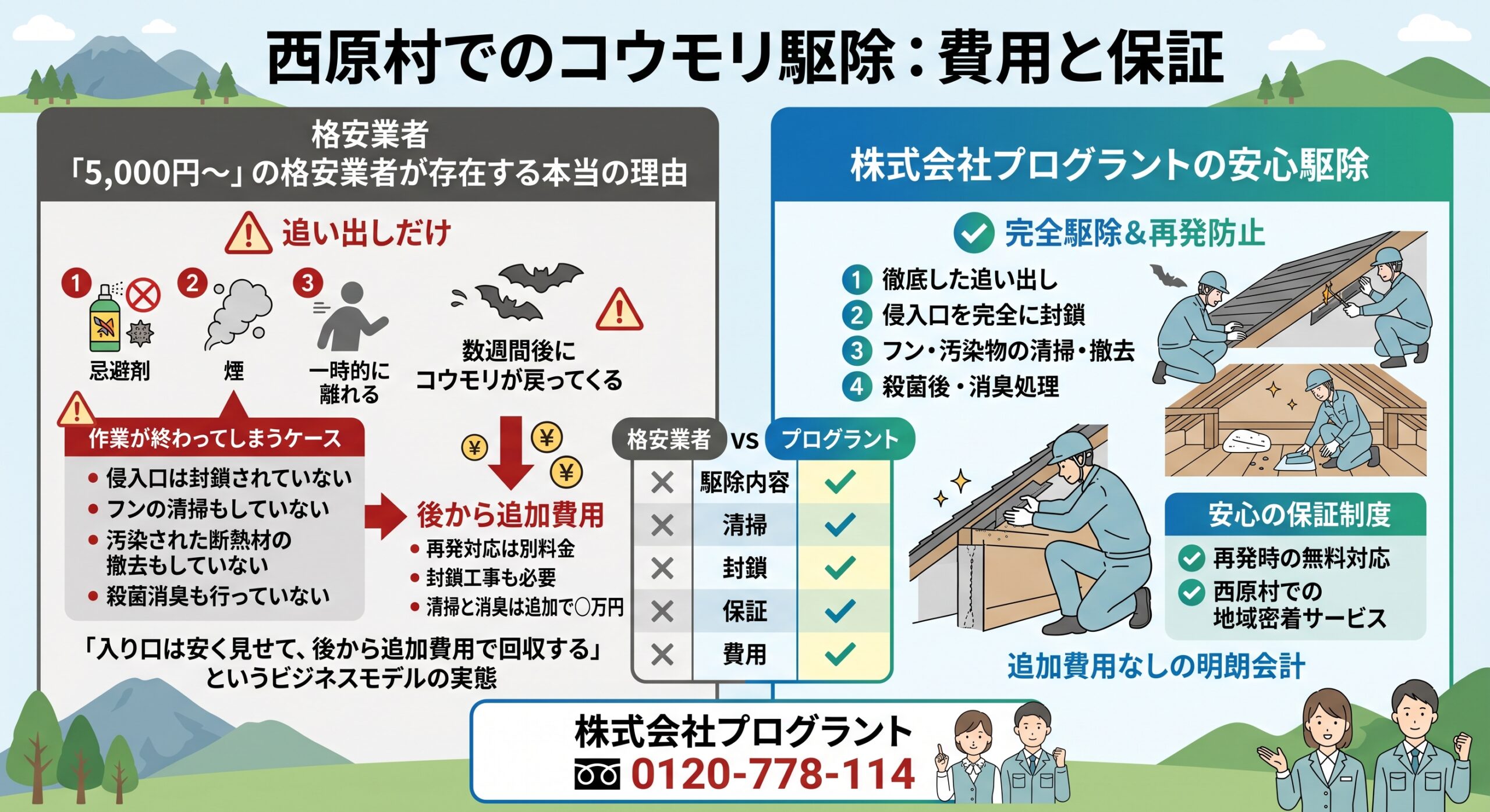 西原村でのコウモリ駆除：費用と保証