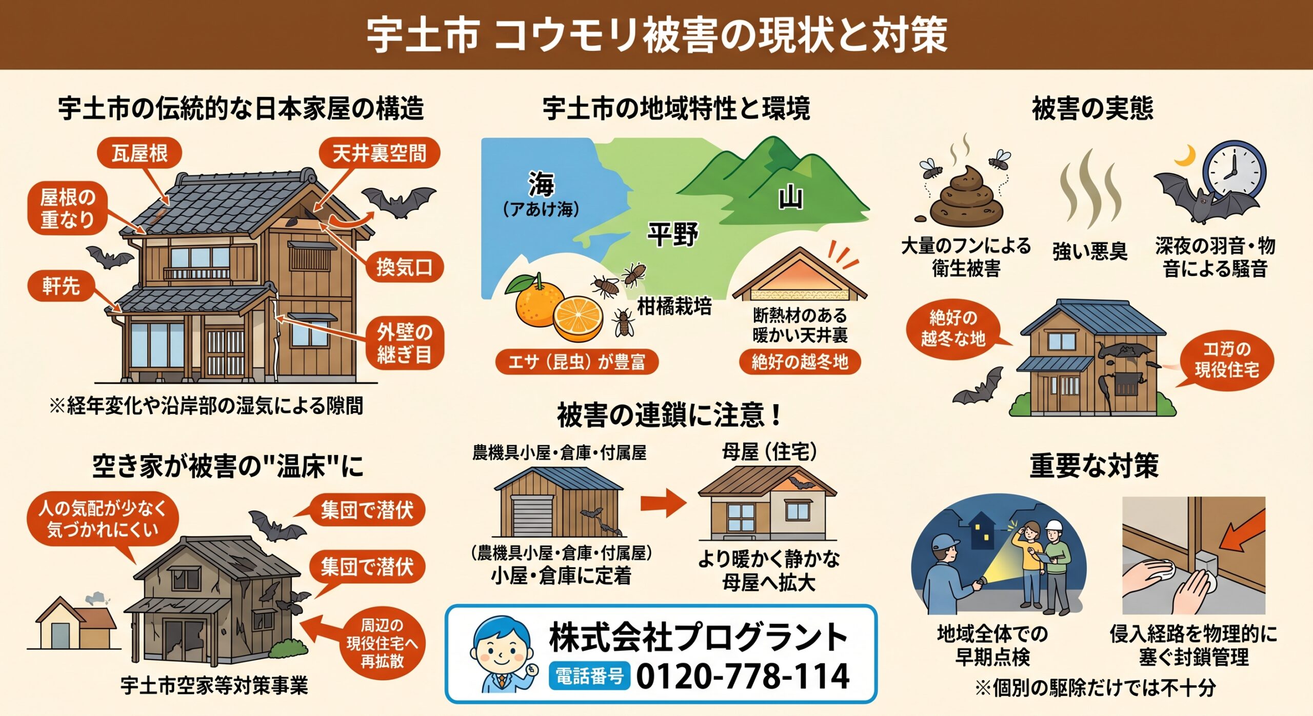 宇土市　コウモリ被害の現状と対策