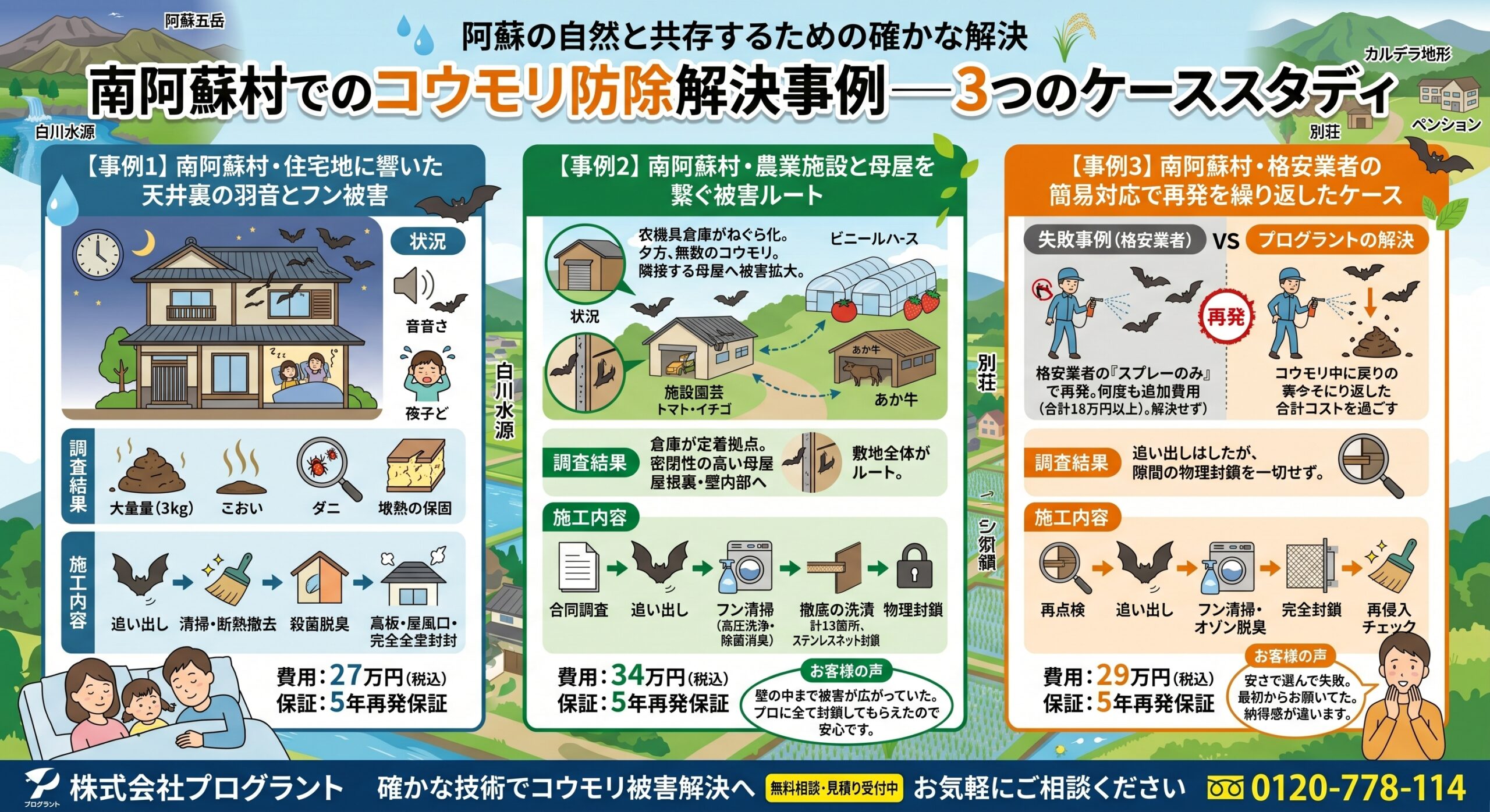 南阿蘇村でのコウモリ防除解決事例