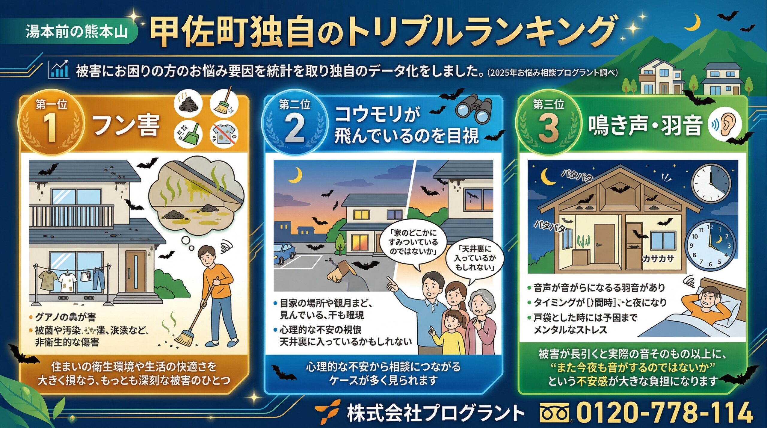 甲佐町独自のトリプルランキング