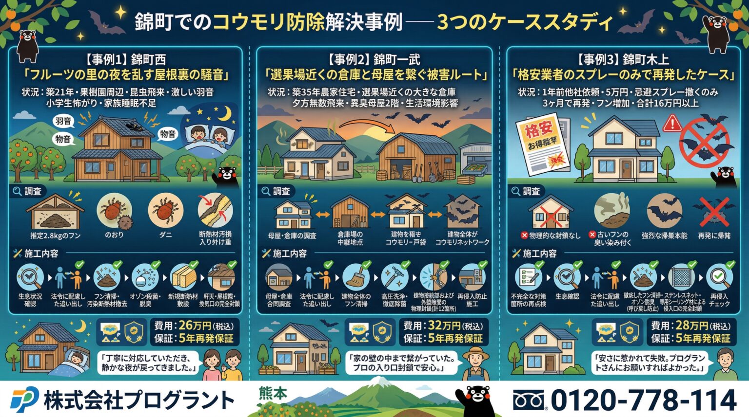 錦町でのコウモリ駆除解決事例