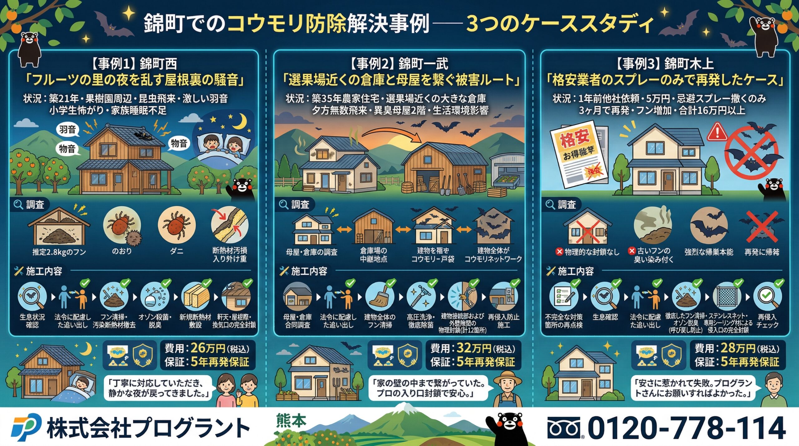 錦町でのコウモリ駆除解決事例