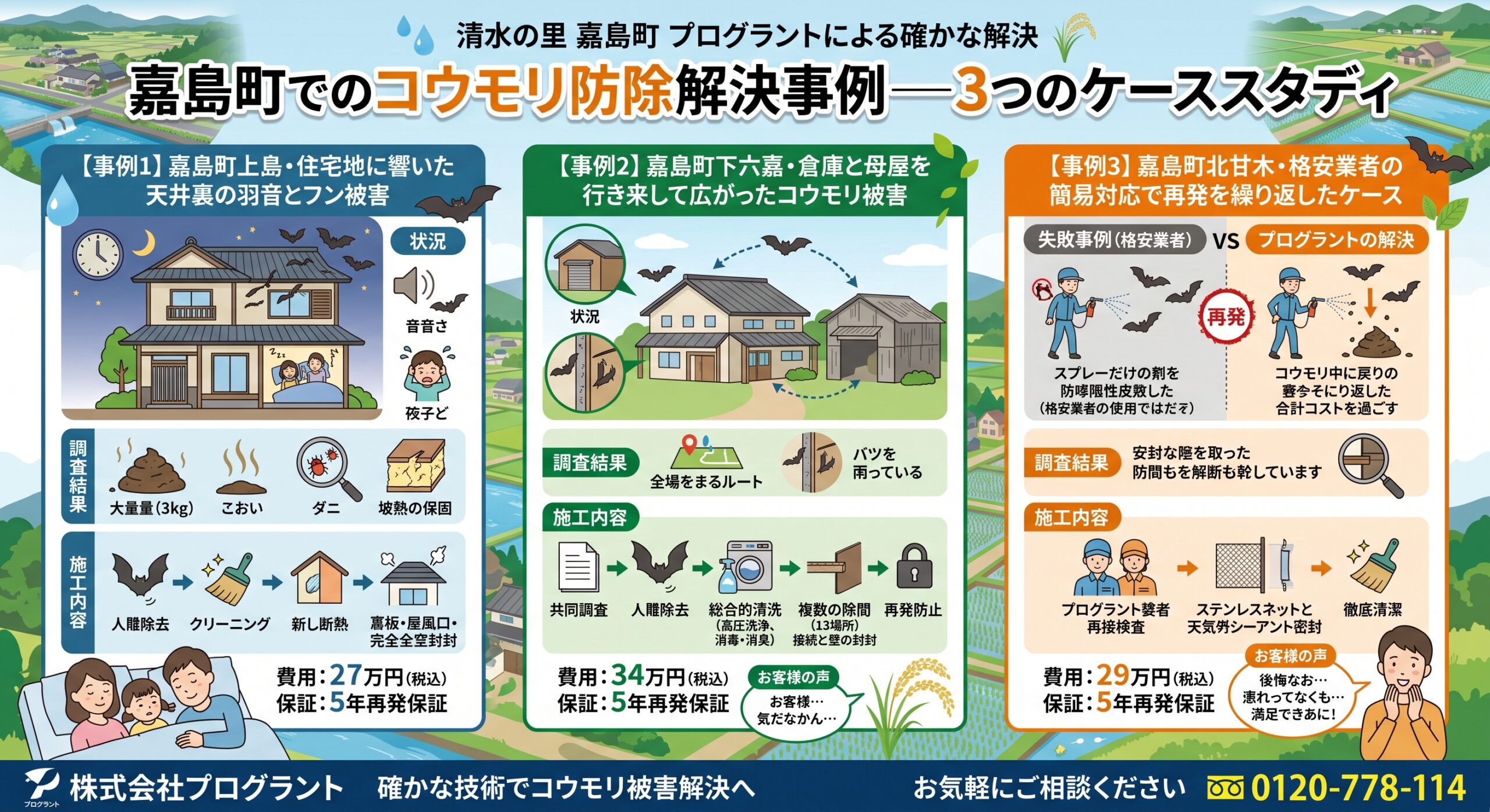 嘉島町でのコウモリ防除解決事例