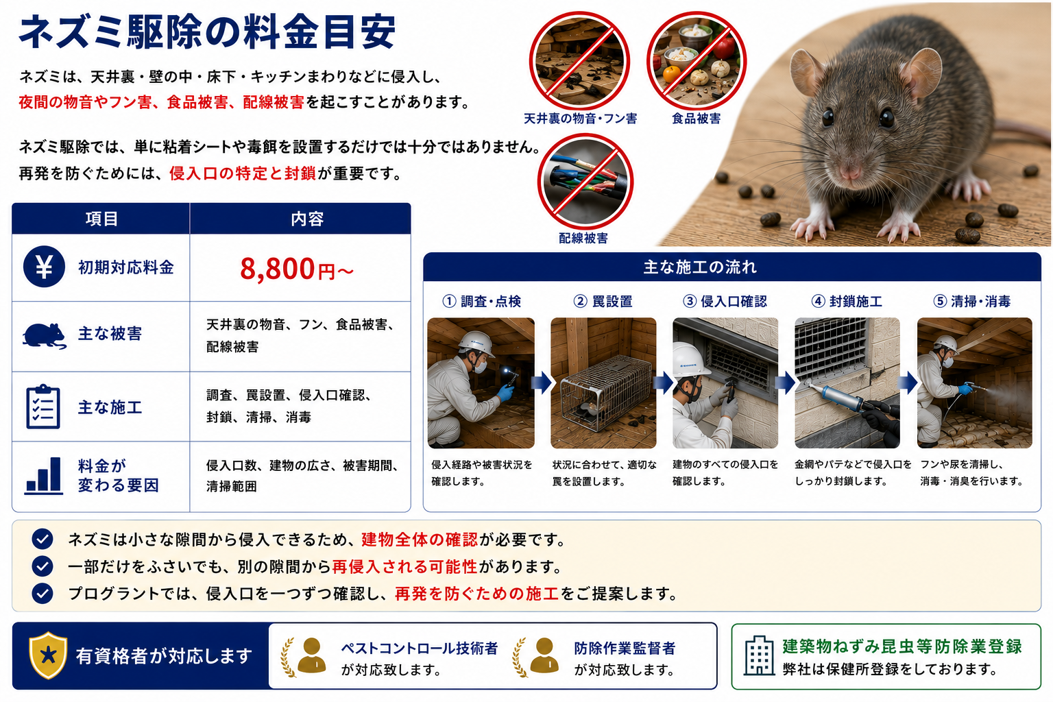 ネズミ駆除の料金目安を解説する画像。ネズミが天井裏・壁の中・床下・キッチンまわりに侵入し、夜間の物音、フン害、食品被害、配線被害を起こす可能性を紹介。初期対応料金8,800円から、調査・罠設置・侵入口確認・封鎖・清掃・消毒までの施工内容を説明し、ペストコントロール技術者・防除作業監督者が対応するプログラントの再発防止施工と建築物ねずみ昆虫等防除業登録を訴求。