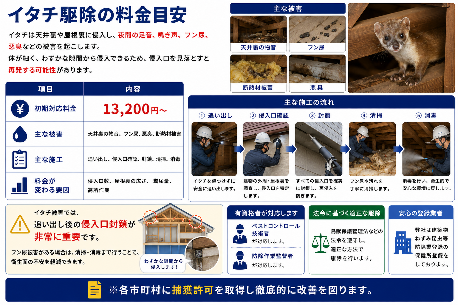 イタチ駆除の料金目安を解説する画像。イタチが天井裏や屋根裏に侵入し、夜間の足音・鳴き声・フン尿・悪臭・断熱材被害を起こす可能性を紹介。初期対応料金13,200円から、追い出し・侵入口確認・封鎖・清掃・消毒までの施工内容を説明し、侵入口数・屋根裏の広さ・糞尿量・高所作業によって料金が変わること、市町村の捕獲許可を取得し法令に基づいて対応するプログラントのイタチ防除を訴求。