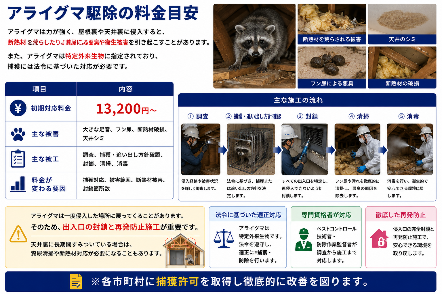 アライグマ駆除の料金目安を解説する画像。アライグマが屋根裏や天井裏に侵入し、大きな足音・フン尿・悪臭・天井シミ・断熱材破損などの被害を起こす可能性を紹介。初期対応料金13,200円から、調査・捕獲や追い出し方針確認・侵入口封鎖・清掃・消毒までの施工内容を説明し、捕獲対応・被害範囲・断熱材被害・封鎖箇所数によって料金が変わること、特定外来生物であるアライグマを市町村の捕獲許可に基づいて対応するプログラントの再発防止施工を訴求。