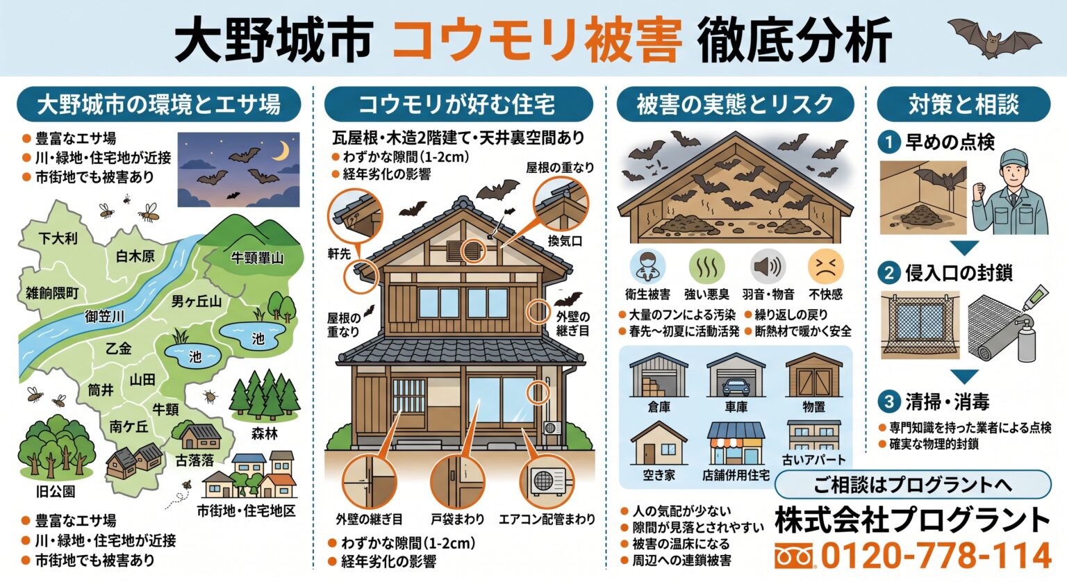 大野城市コウモリ被害徹底分析