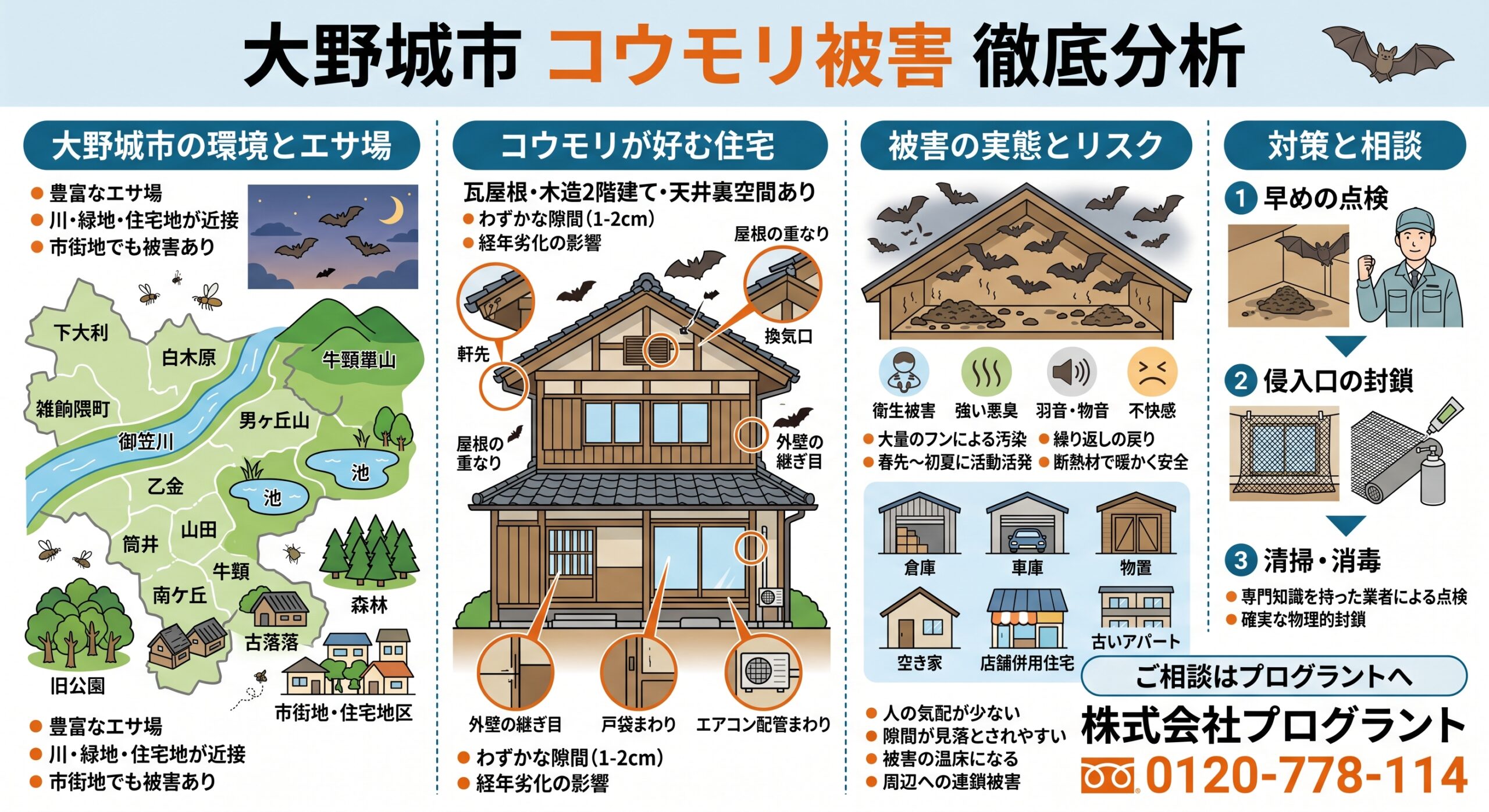 大野城市コウモリ被害徹底分析