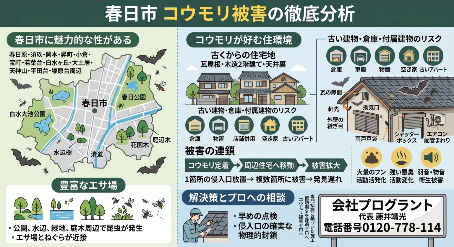 春日市コウモリ被害の徹底分析