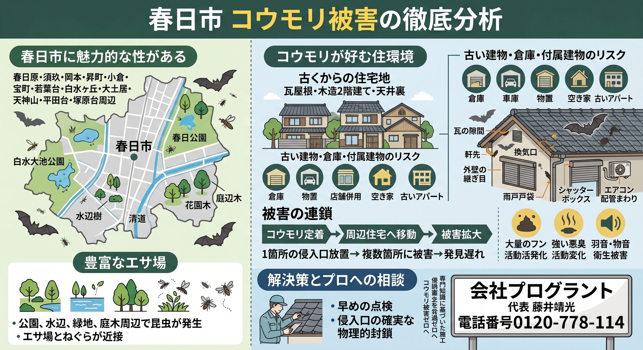 春日市コウモリ被害の徹底分析