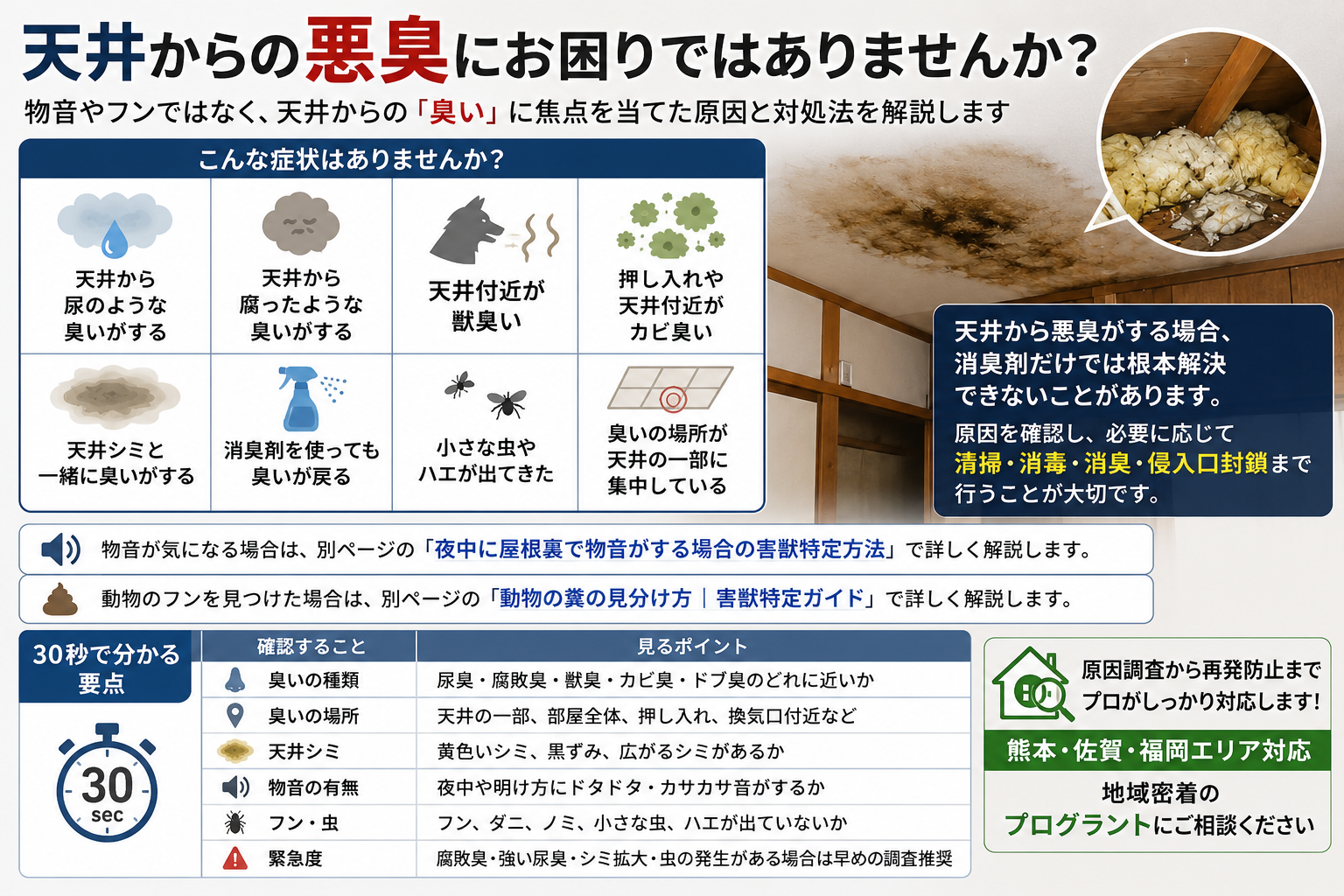 天井からの悪臭について、尿臭・腐敗臭・獣臭・カビ臭・天井シミ・虫の発生などを確認し、屋根裏汚染の原因調査から清掃・消毒・消臭・侵入口封鎖までの必要性を解説した画像