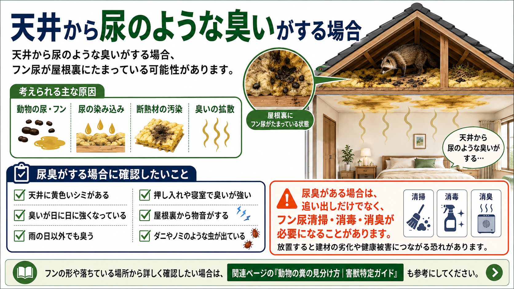 天井から尿のような臭いがする原因として、屋根裏のフン尿蓄積や断熱材・天井材への尿の染み込み、黄色いシミや物音、虫の発生などの確認ポイントと必要な清掃・消毒・消臭対応を解説した画像
