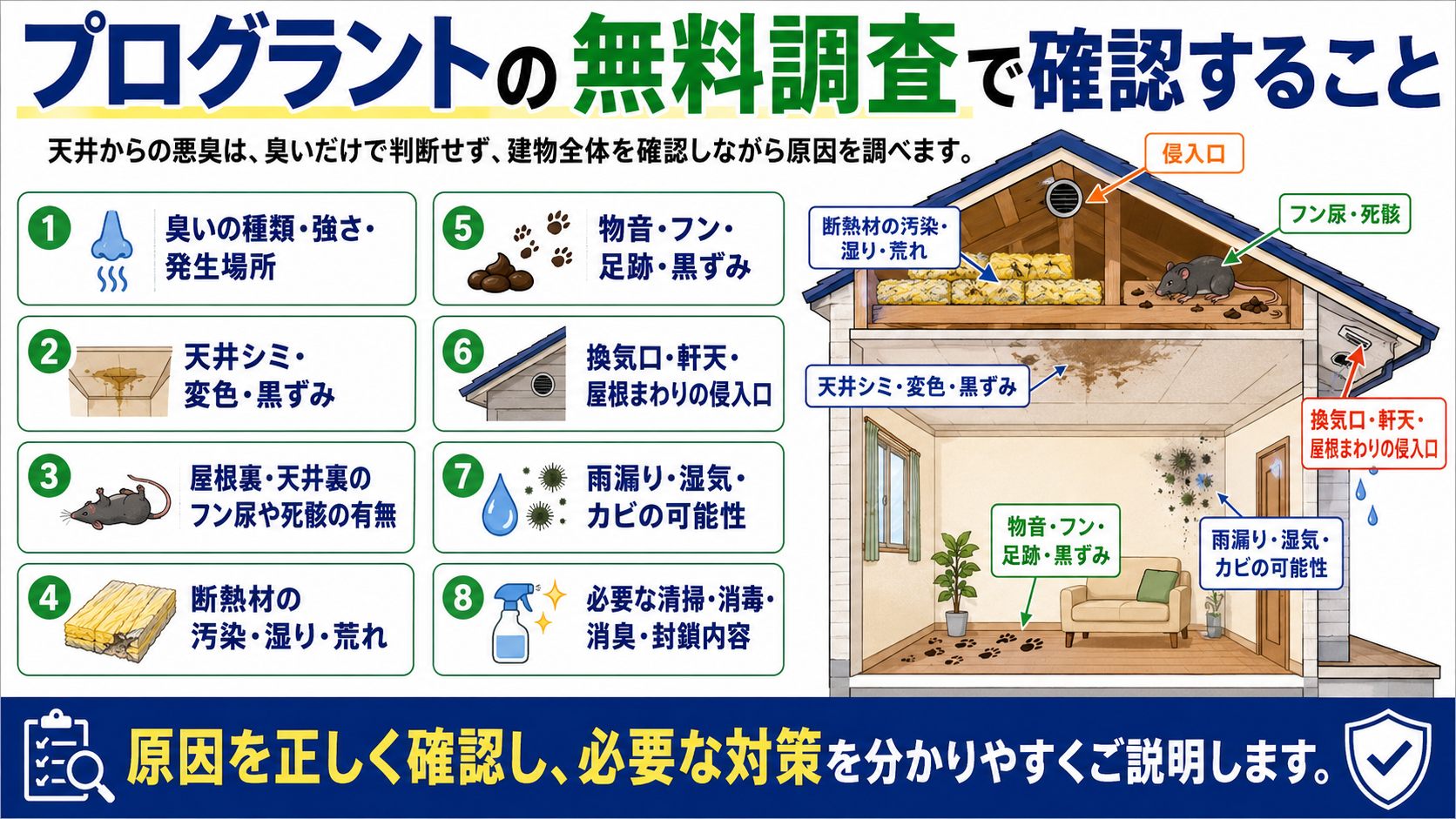 プログラントの無料調査で、天井からの悪臭について臭いの種類や発生場所、天井シミ、屋根裏のフン尿や死骸、断熱材汚染、侵入口、雨漏りやカビの可能性、必要な清掃・消毒・消臭・封鎖内容を確認する流れを解説した画像