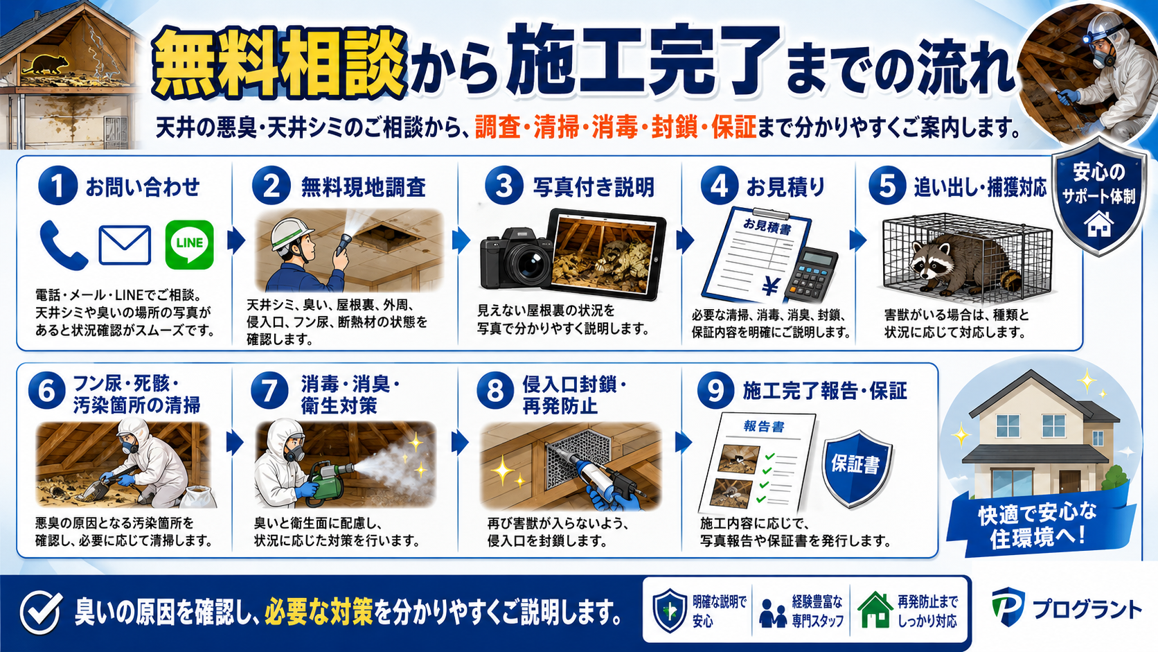 天井の悪臭や天井シミの相談から無料現地調査、写真付き説明、見積り、追い出し捕獲、フン尿や死骸の清掃、消毒消臭、侵入口封鎖、施工完了報告と保証までの流れを解説した画像