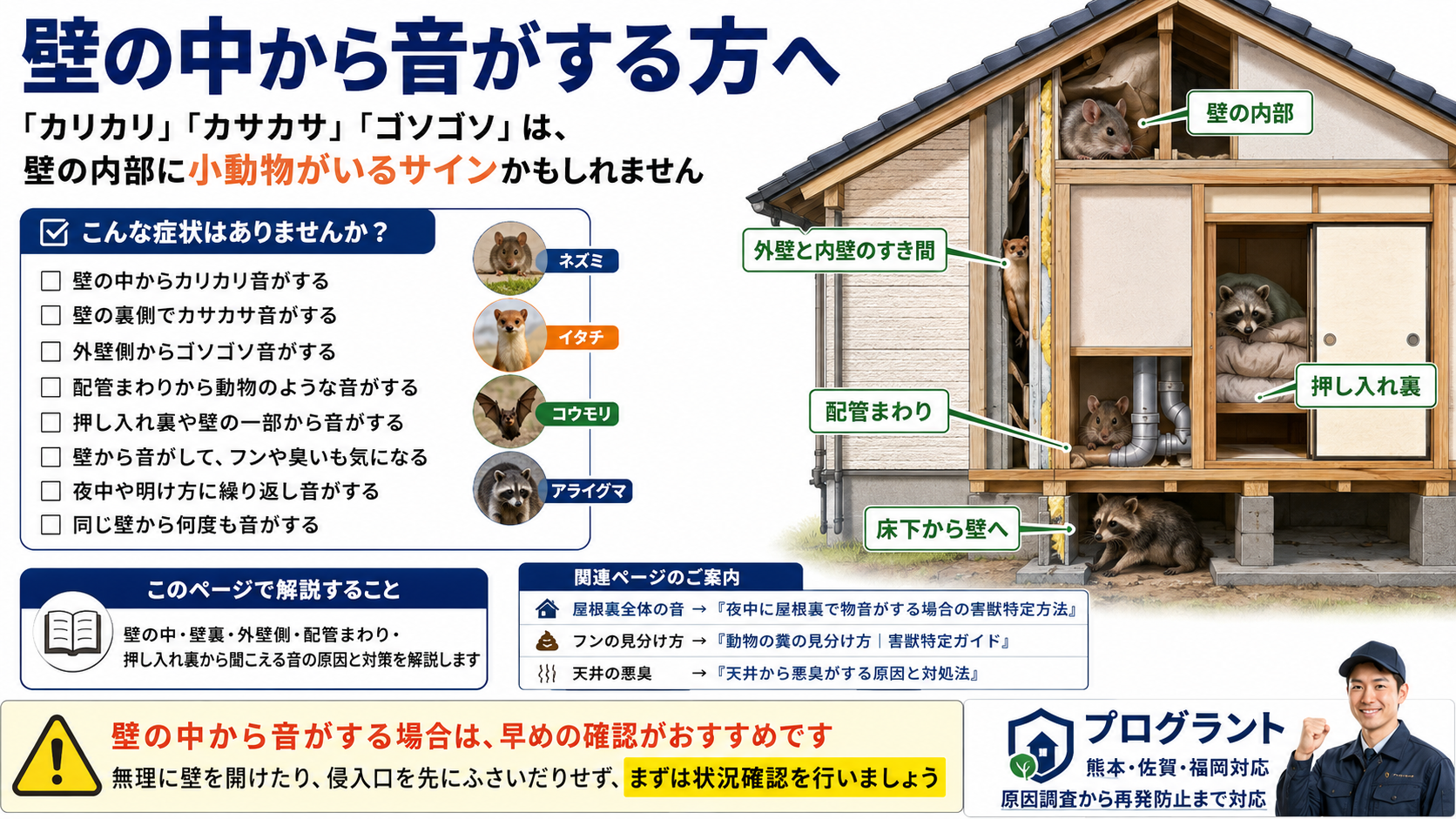 壁の中からカリカリ・カサカサ・ゴソゴソと音がする場合に、壁内部や外壁と内壁のすき間、配管まわり、押し入れ裏、床下から壁へ侵入したネズミ・イタチ・コウモリ・アライグマなどの可能性と早めの確認を案内する画像