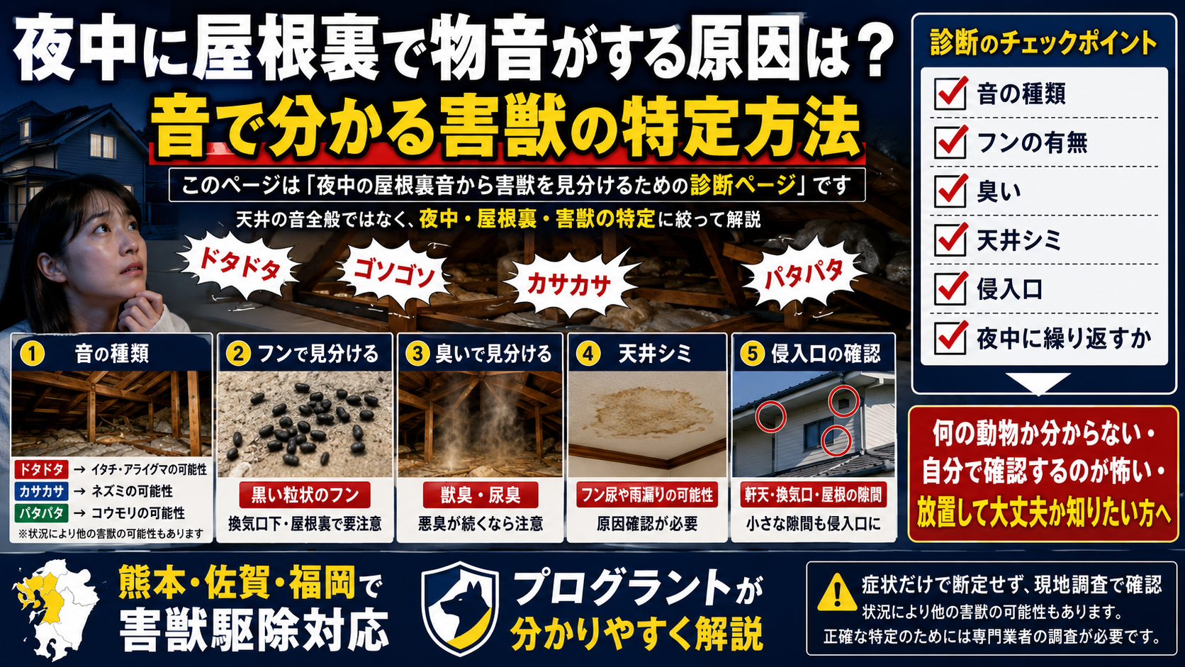 夜中に屋根裏で物音がする原因は？音で分かる害獣の特定方法における夜中に屋根裏で物音がする原因は？音で分かる害獣の特定方法の解説図